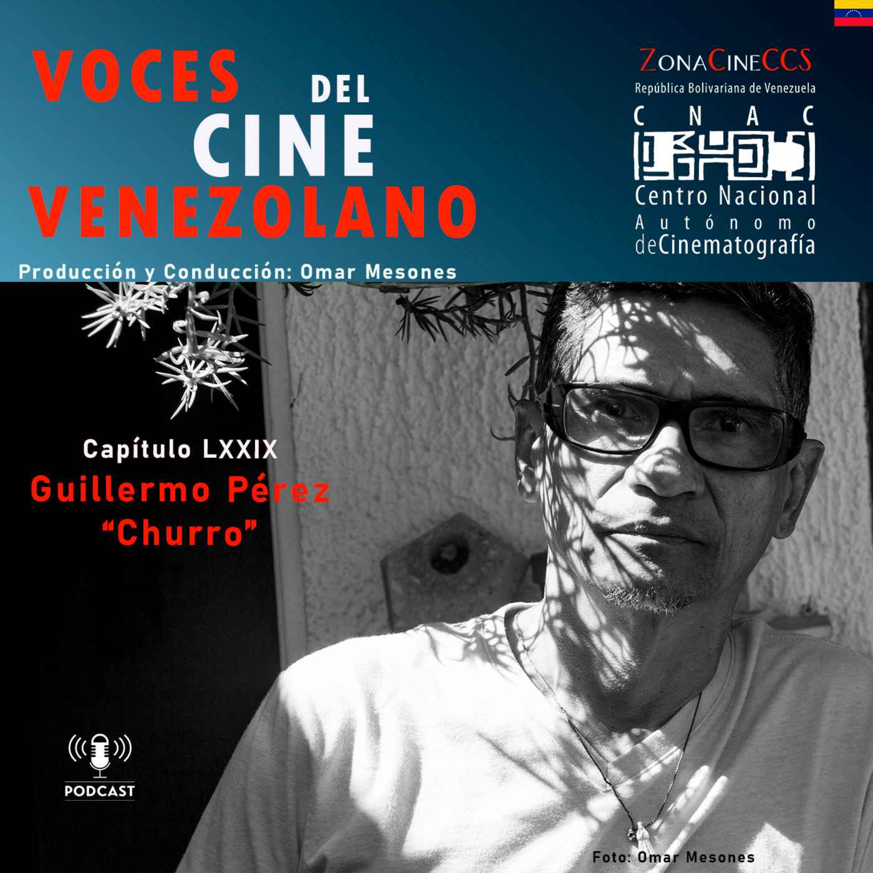 Voces del Cine Venezolano
