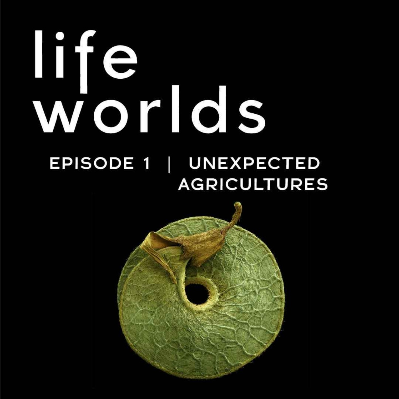 Lifeworlds