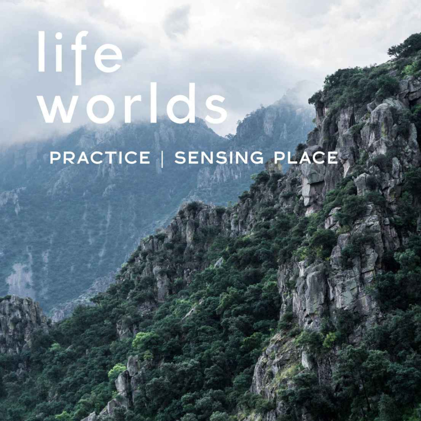 cover art for Practice | Sensing Place