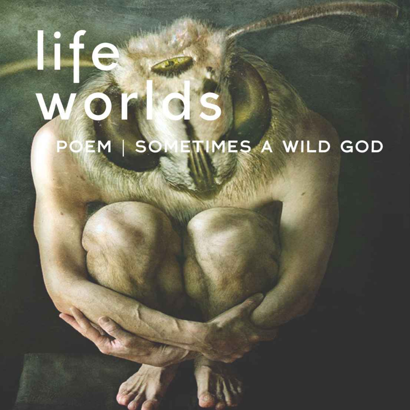 Lifeworlds