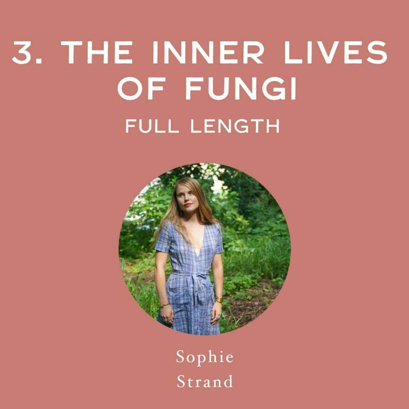 [Full Interview] The Inner Lives of Fungi - with Sophie Strand