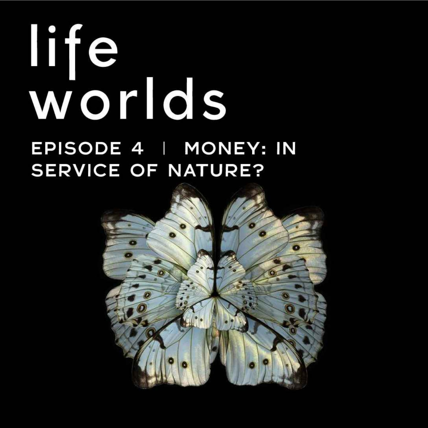 Lifeworlds
