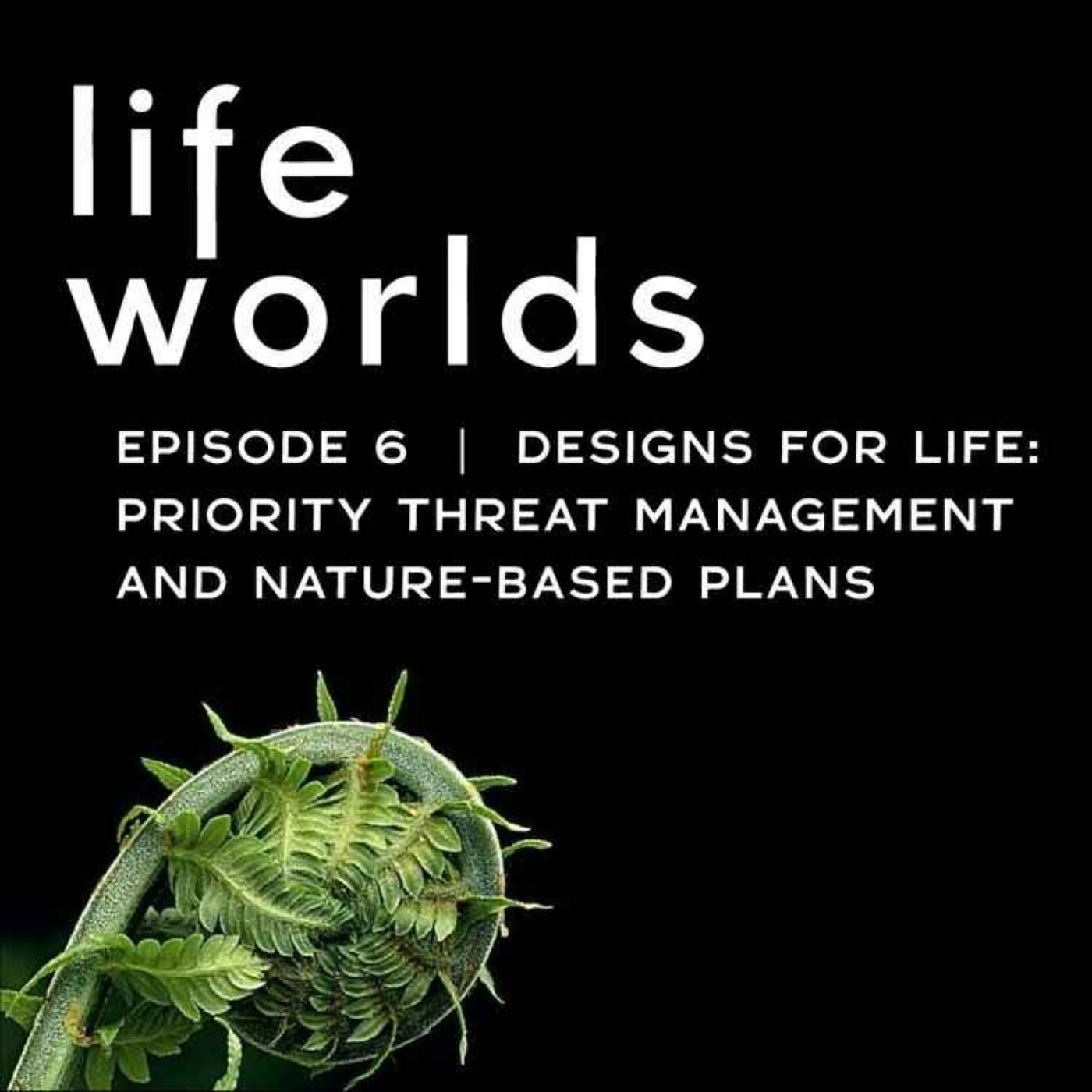Lifeworlds