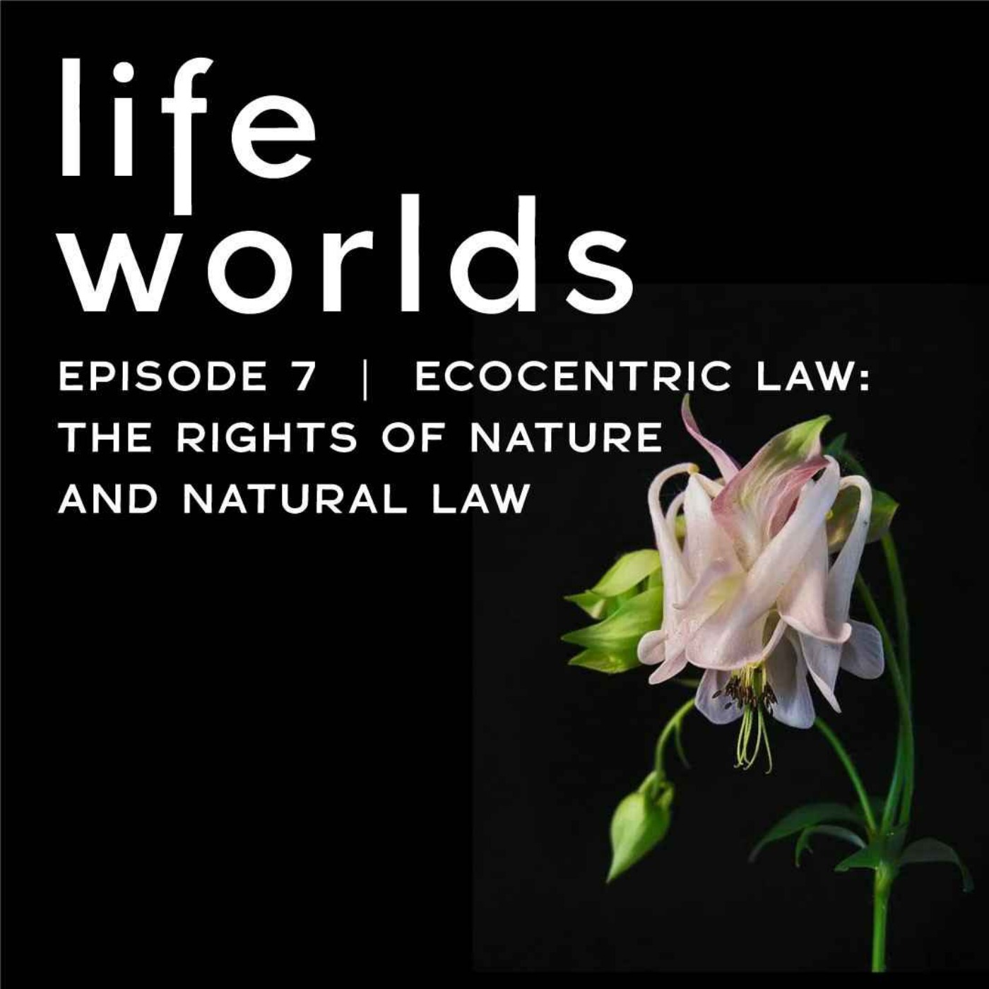Lifeworlds