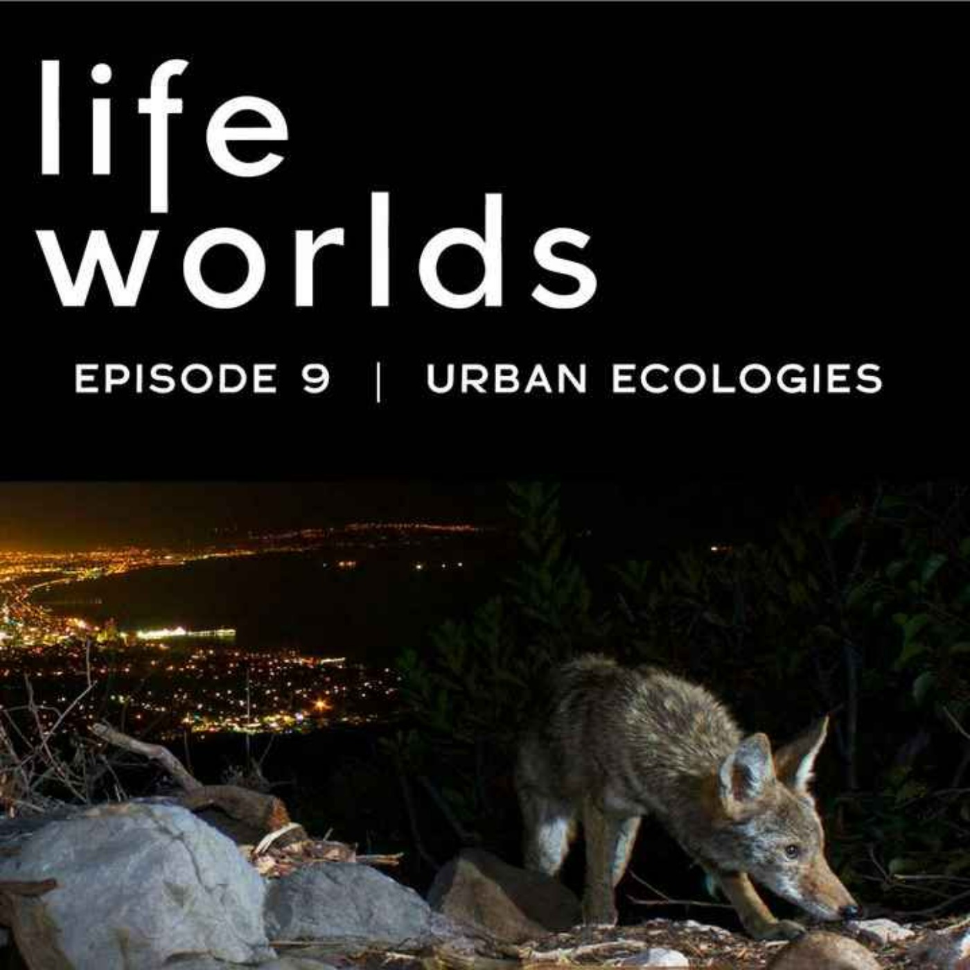 cover art for 9. Urban Ecologies: Where’s Nature in the City?