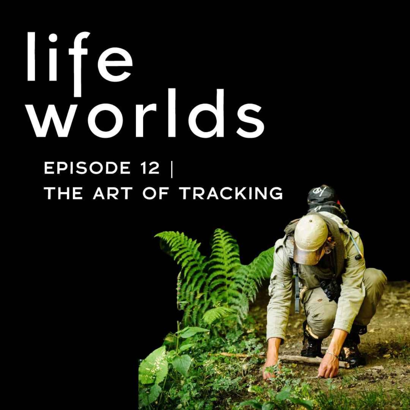 12. The Art of Tracking & Wild Bison - with Toni Romani