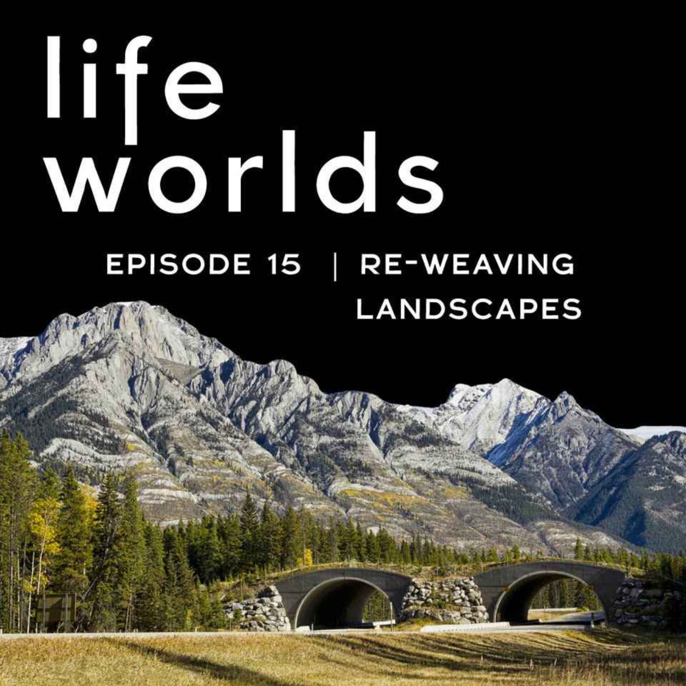 cover art for 15. Re-Weaving Landscapes: Wildlife Crossings & Designing for Nature as the Client 
