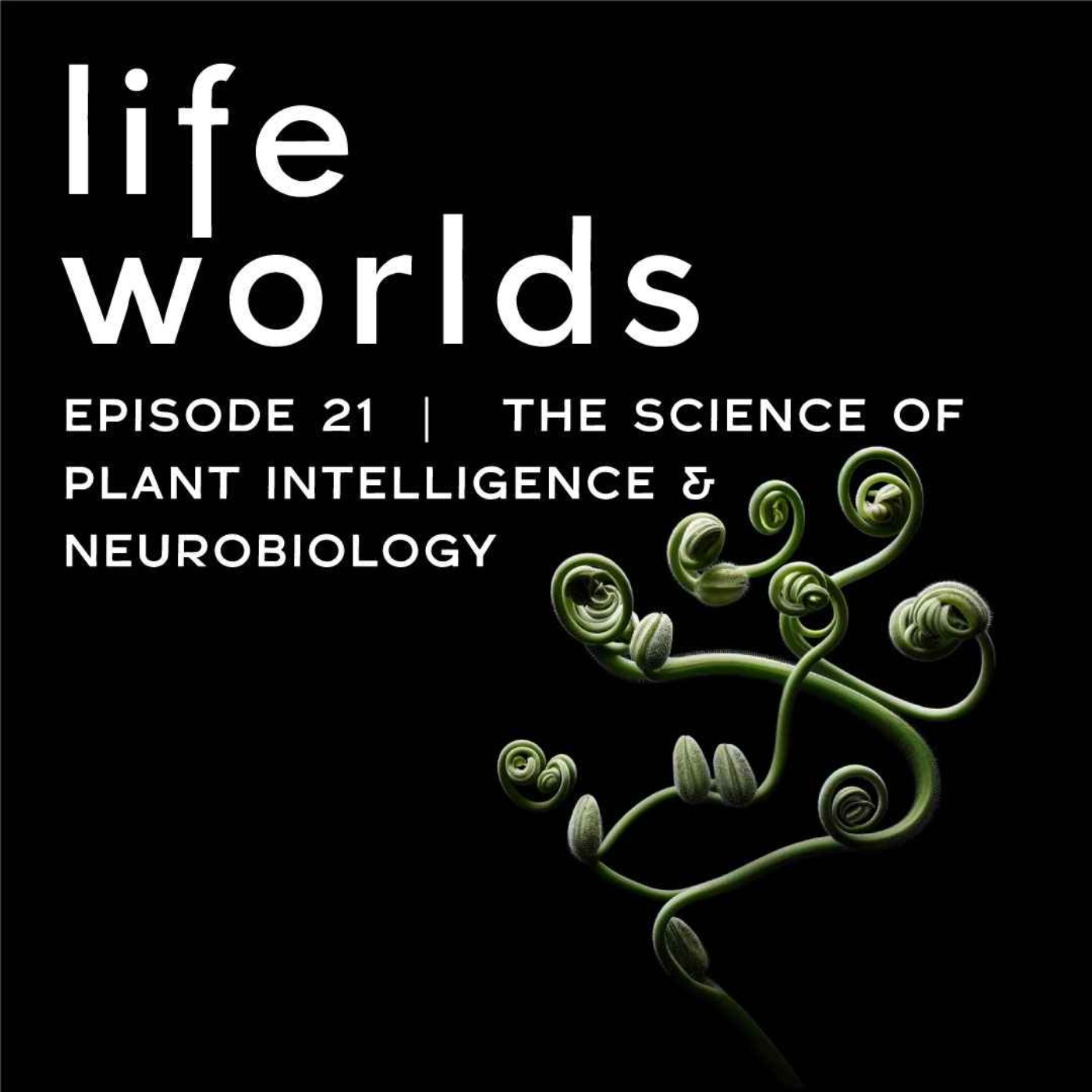 21. The Science of Plant Intelligence & Neurobiology - with Paco Calvo