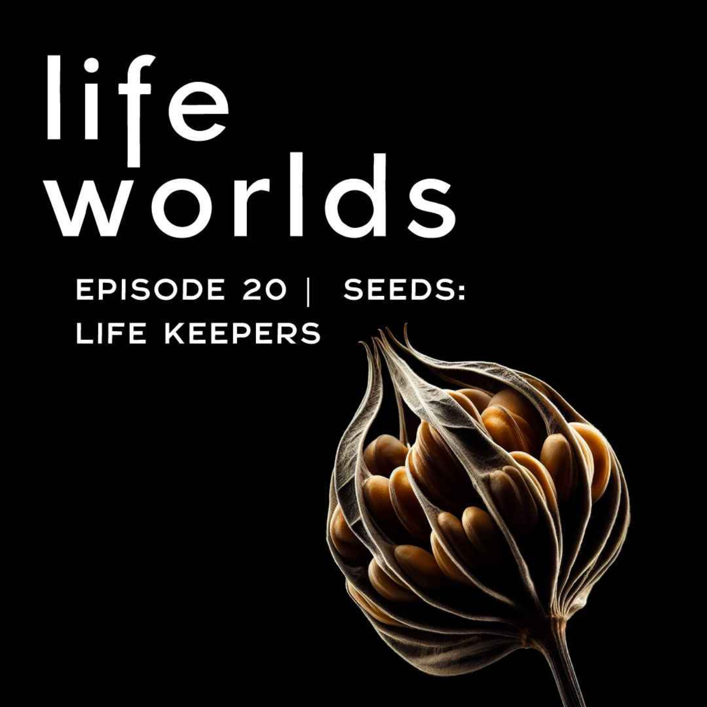cover art for 20. Seeds: The Life Keepers - with Milka Chepkorir Kuto