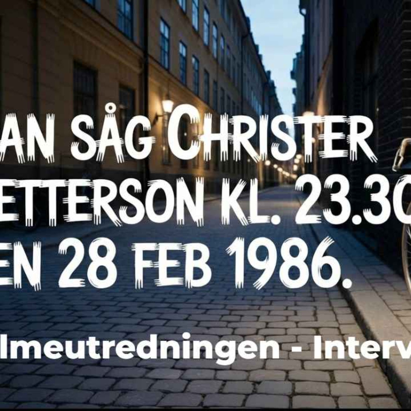 471 Palmeutredningen - Han såg Christer Pettersson kl. 23.30 på Döbelnsgatan i Stockholm.