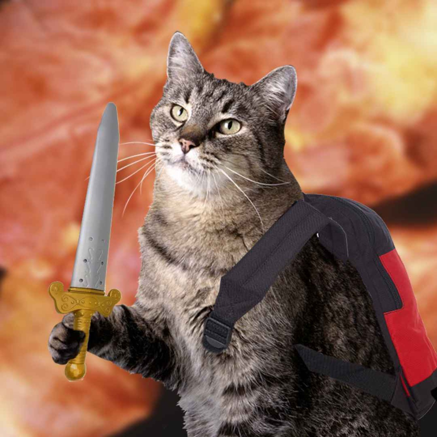 Episode 128: “Cat capsule. Catsule.”