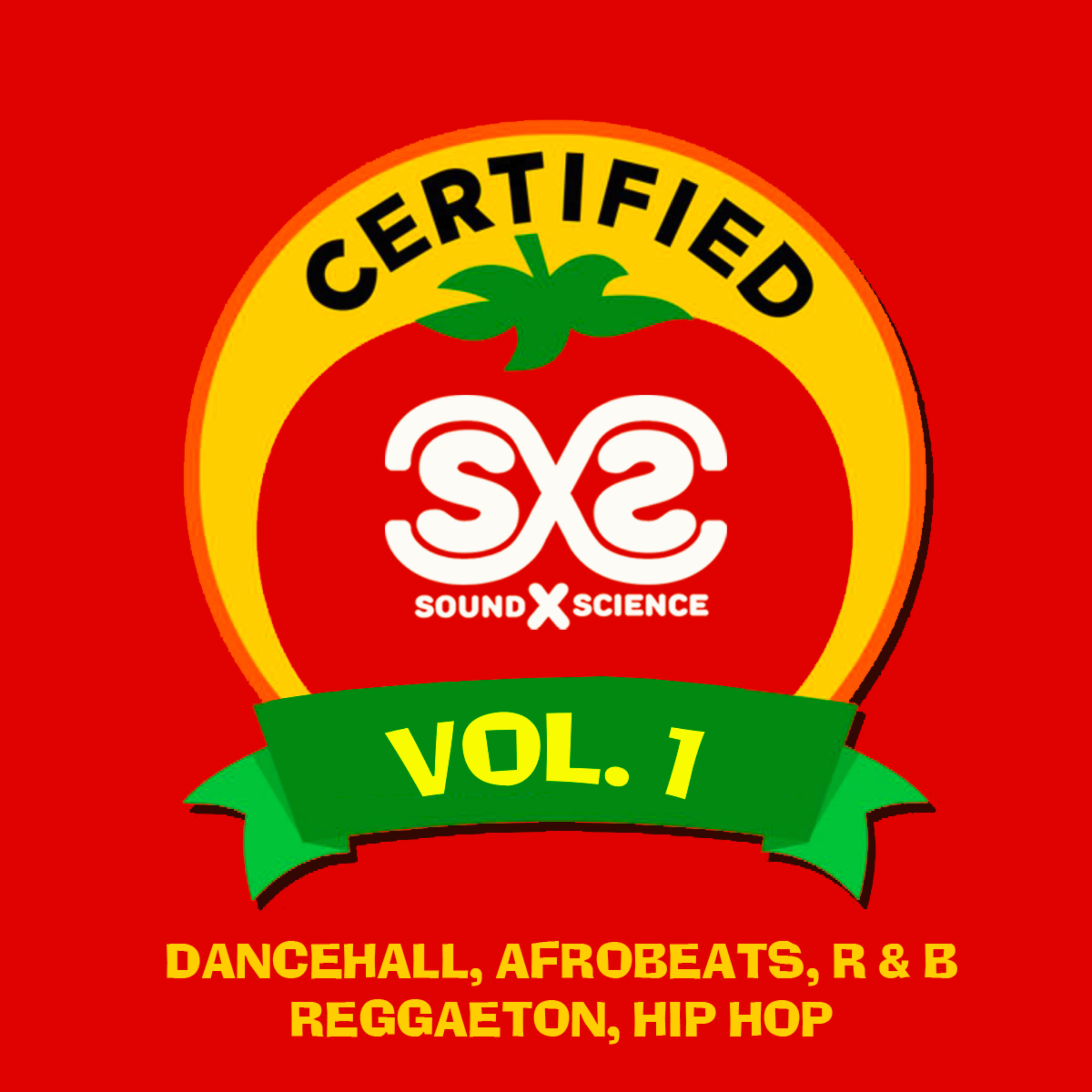Certified Vol. 1 (2019 Dancehall, Hip Hop, Afrobeats, Reggaeton, RnB DJ Mix)