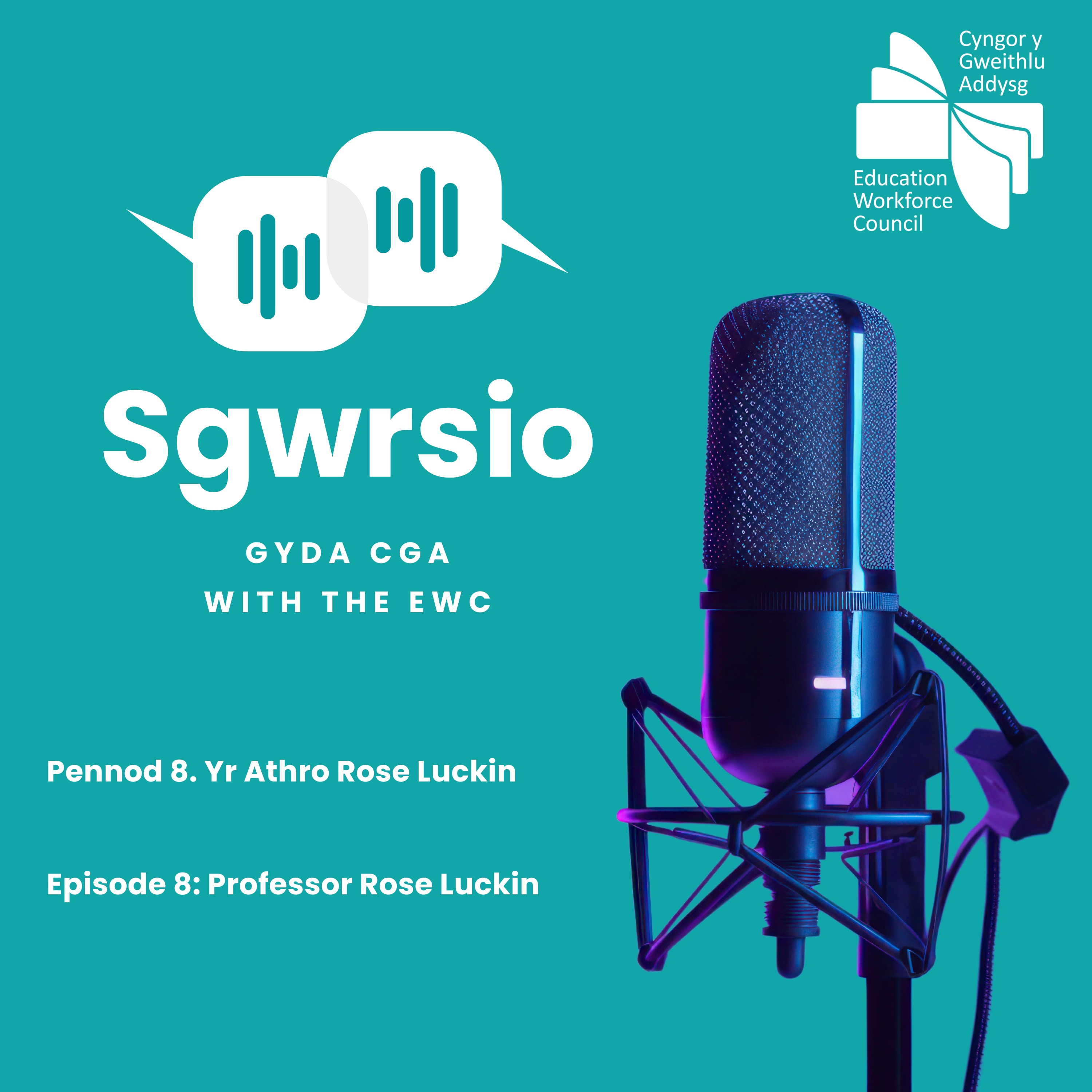 Sgwrsio gyda CGA | Sgwrsio with the EWC