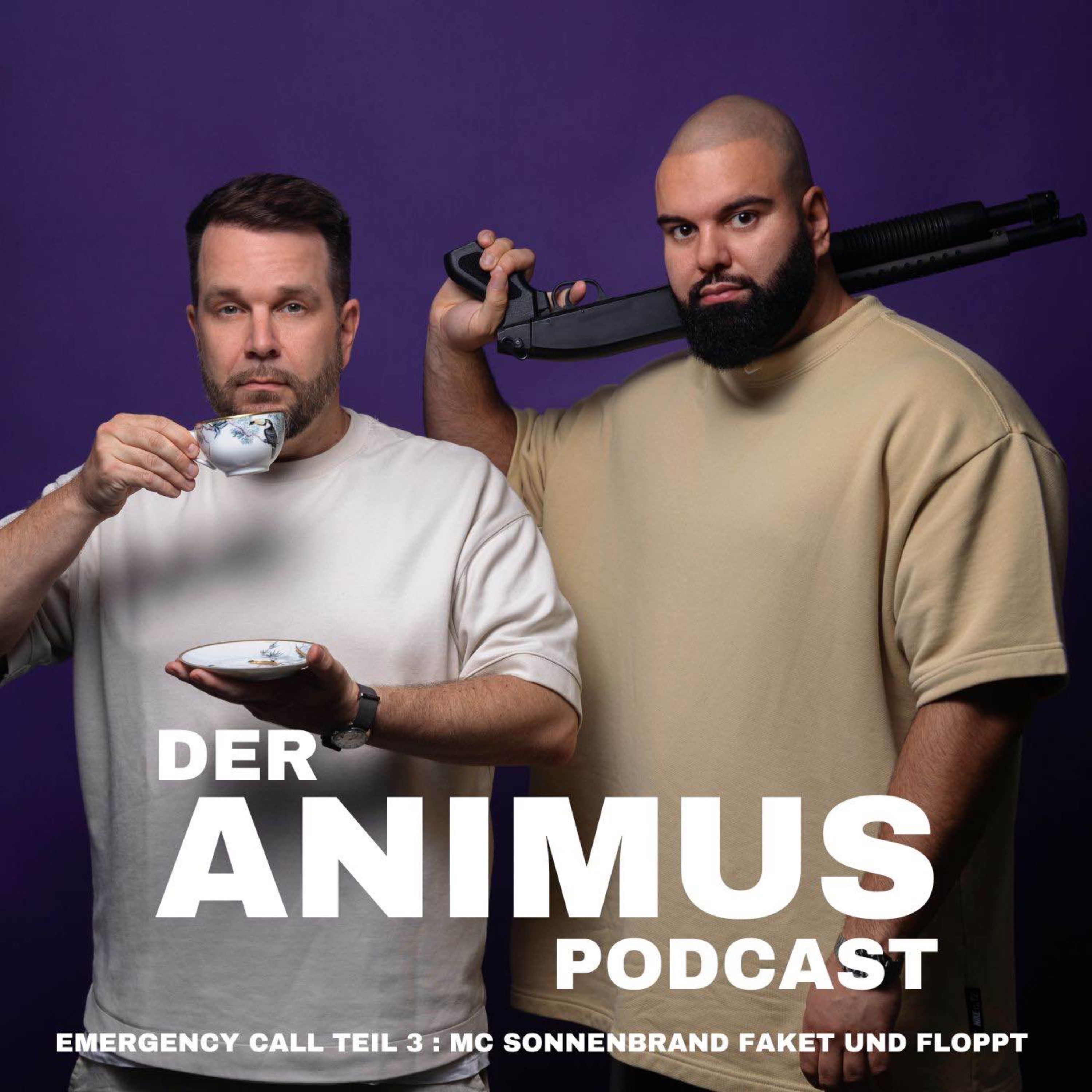 Der Animus Podcast