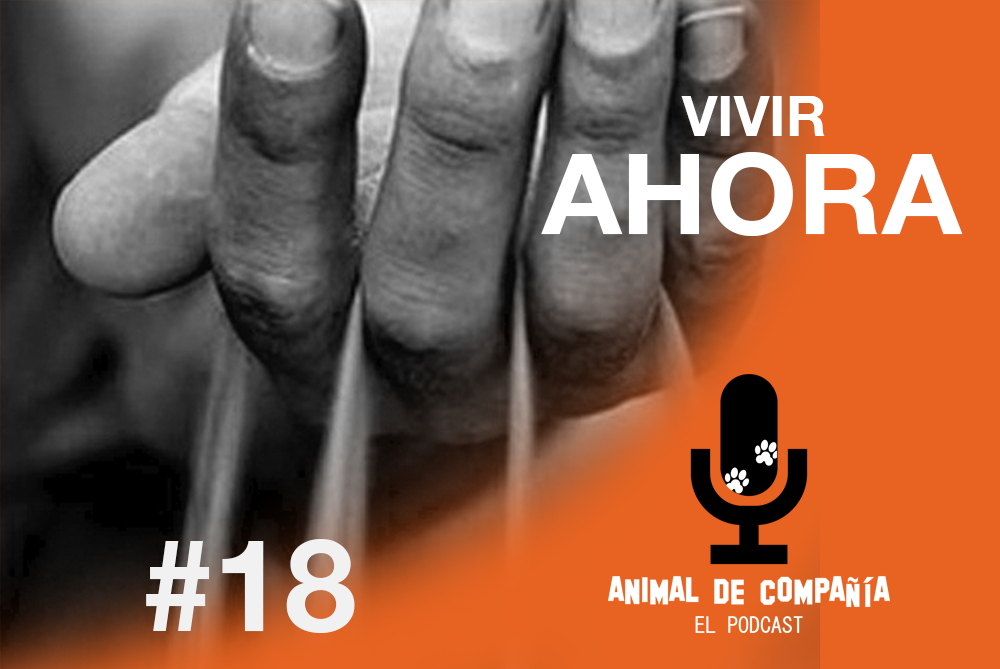 S1 Ep19: # 18 La vida se nos escurre entre los dedos... episode artwork