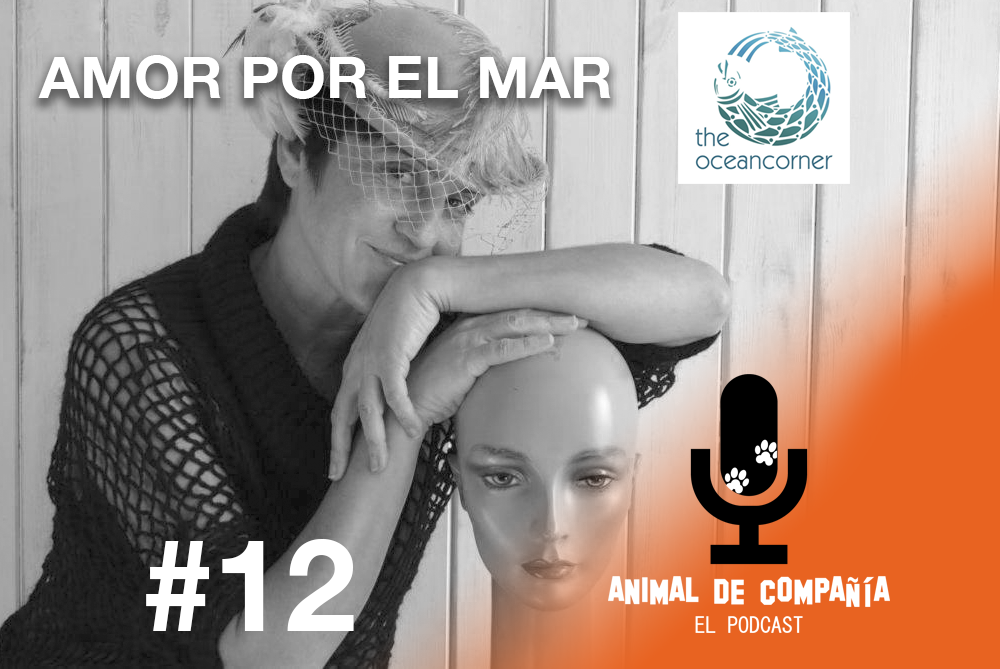 Animal de compañía