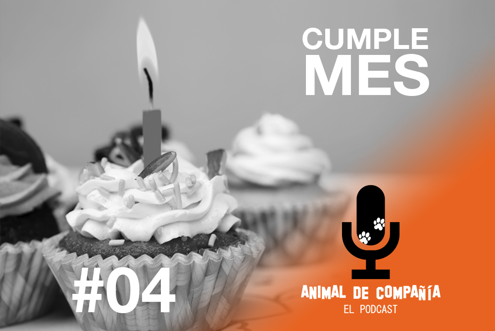 S1 Ep5: # 04 Celebramos el primer cumple-mes y hacemos un programa pulmón. episode artwork