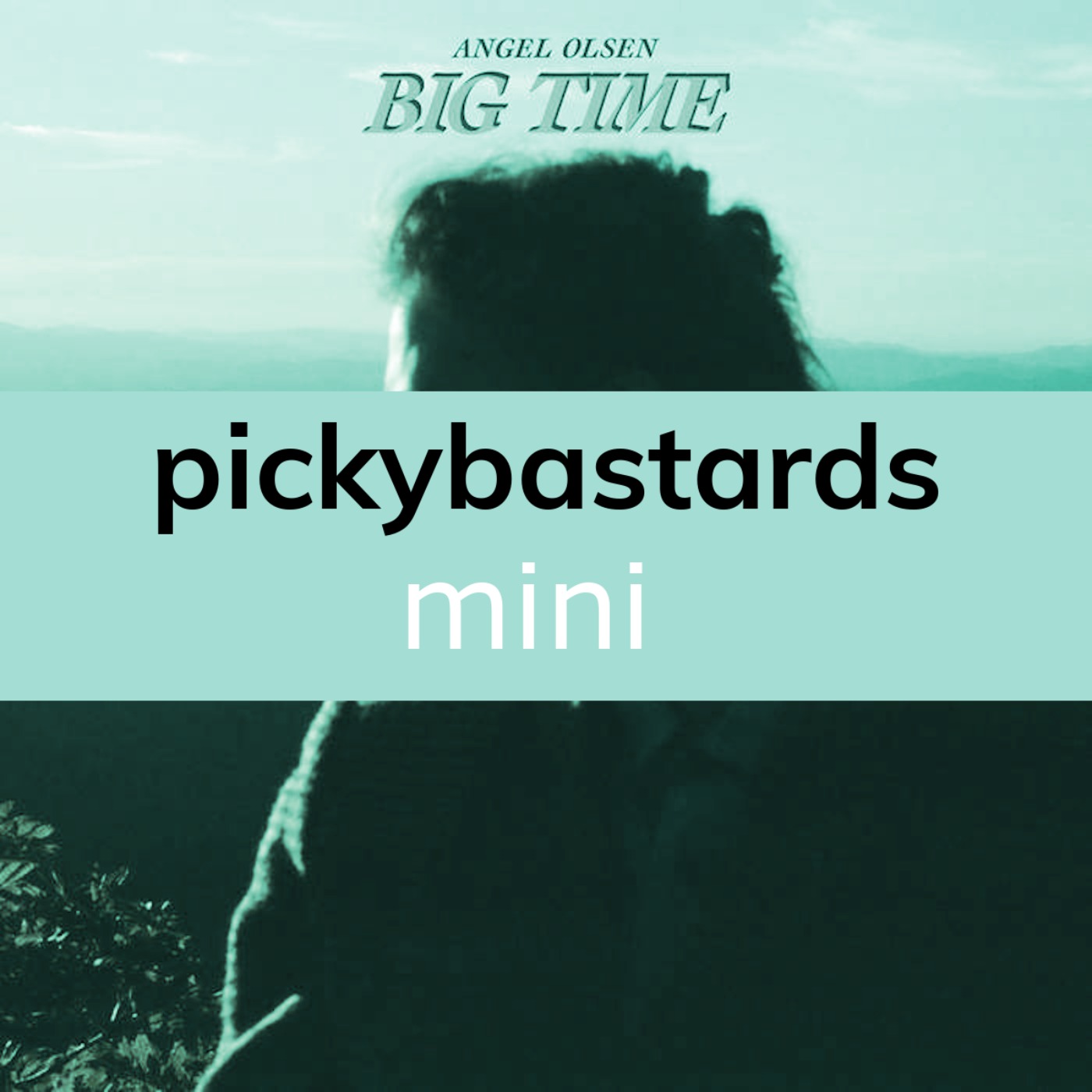 Picky Bastards