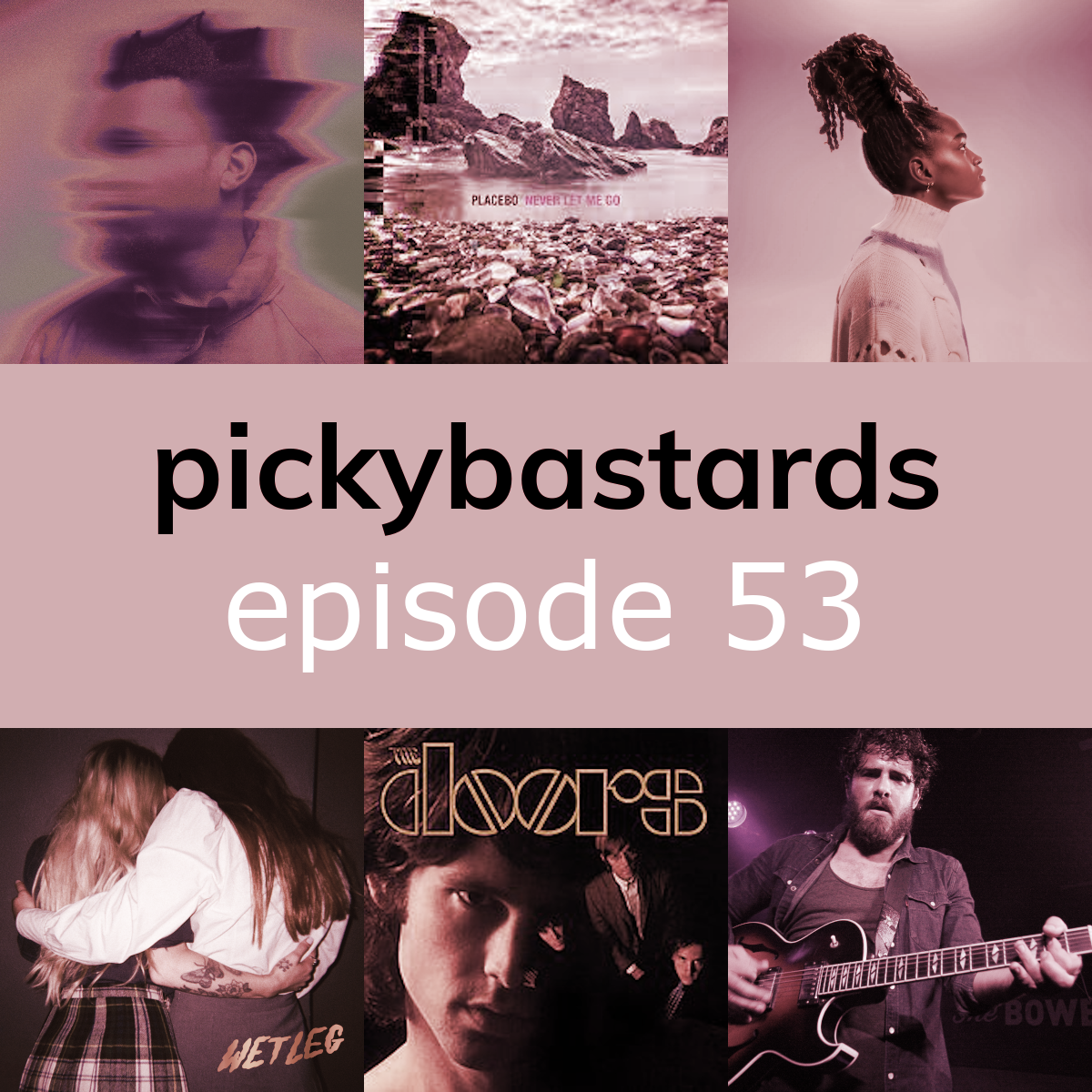 Picky Bastards