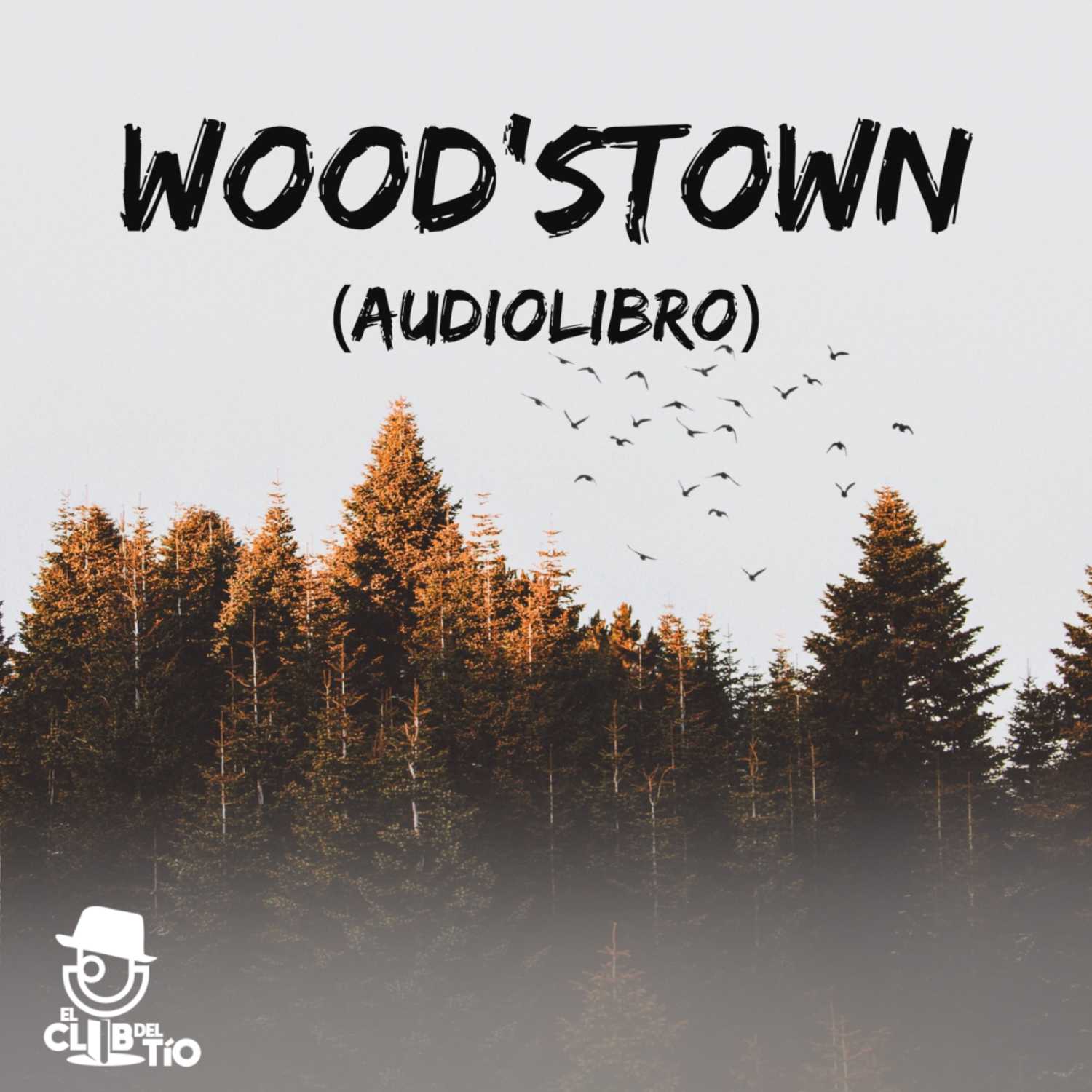 Wood’stown - Alphonse Daudet (Audiolibro) episode artwork