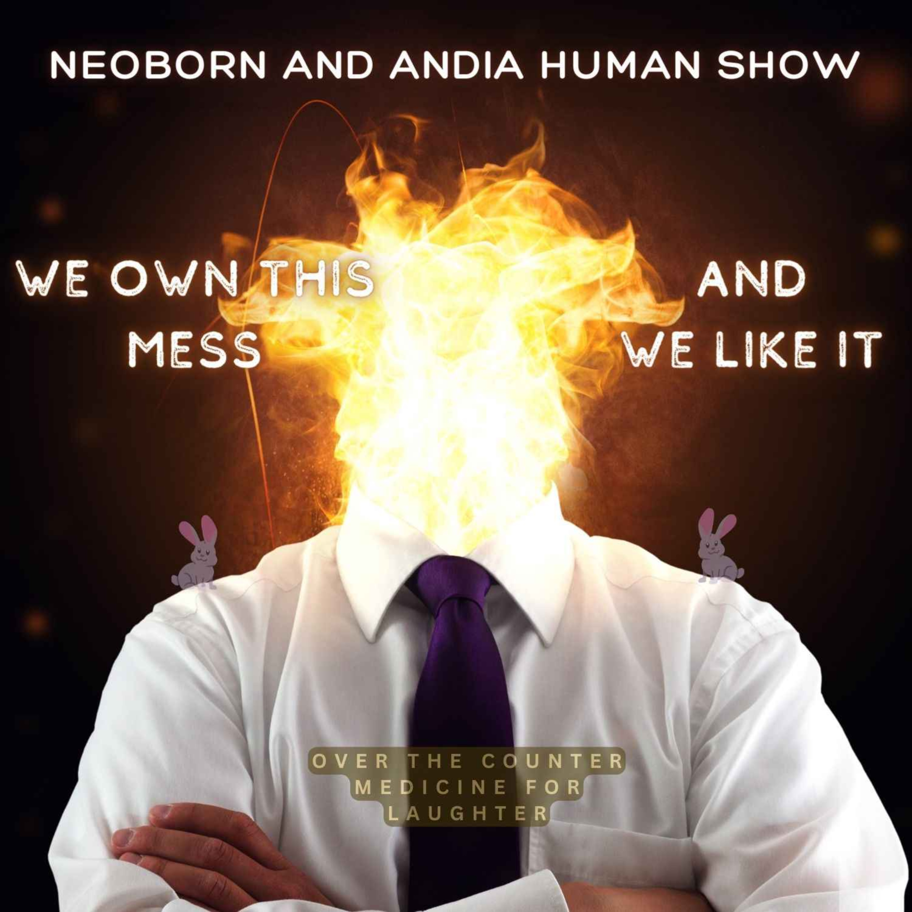 We Own This Mess and We Like it episode artwork
