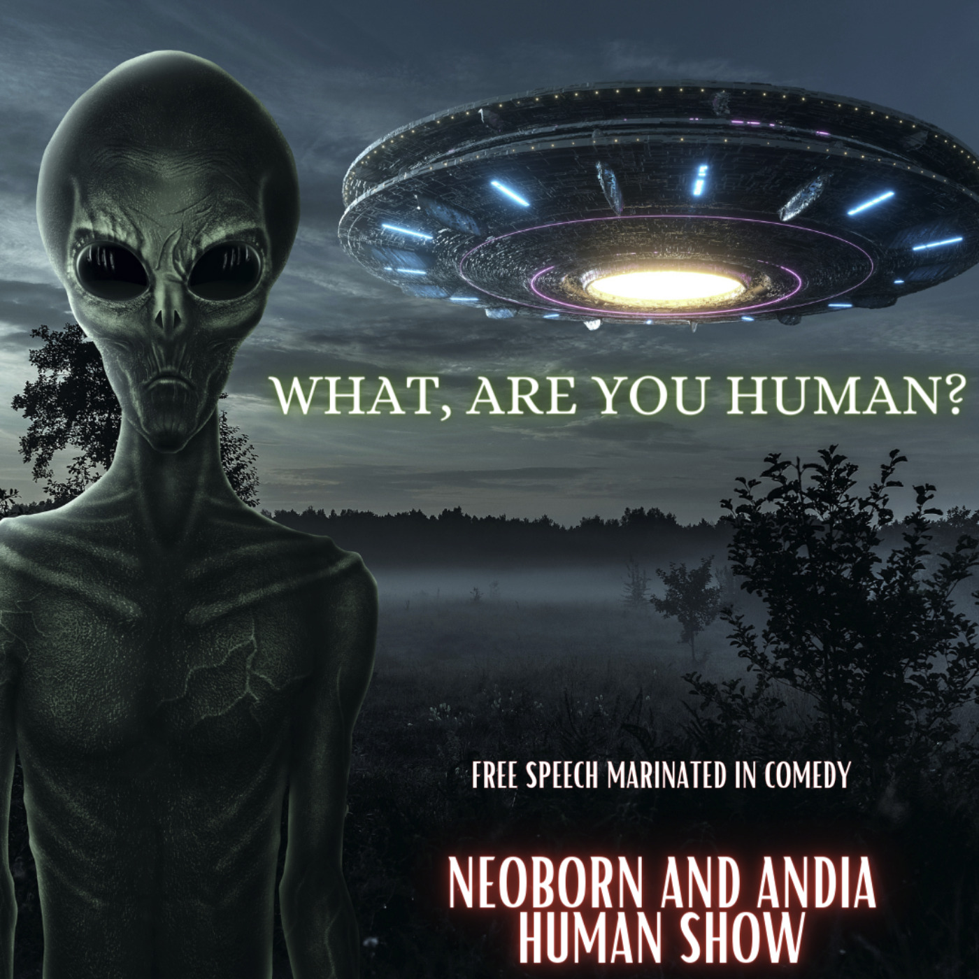cover art for What, Are You Human?