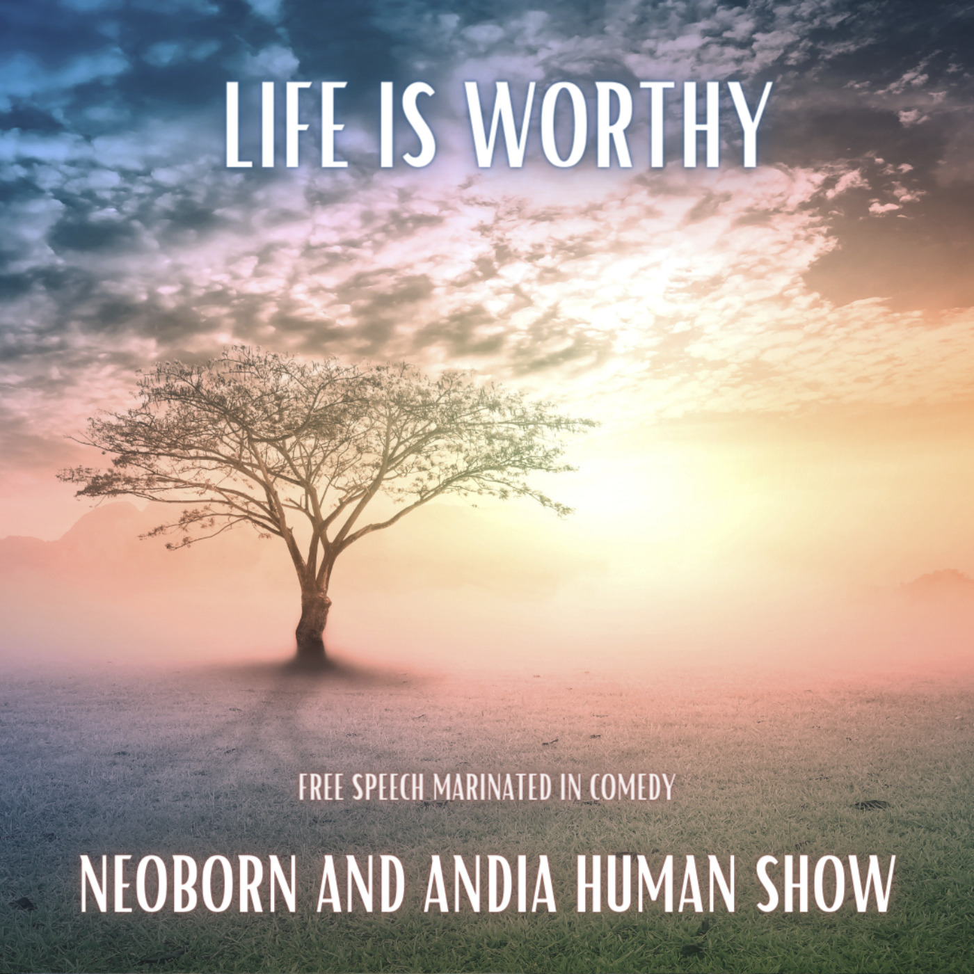 cover art for Life is Worthy