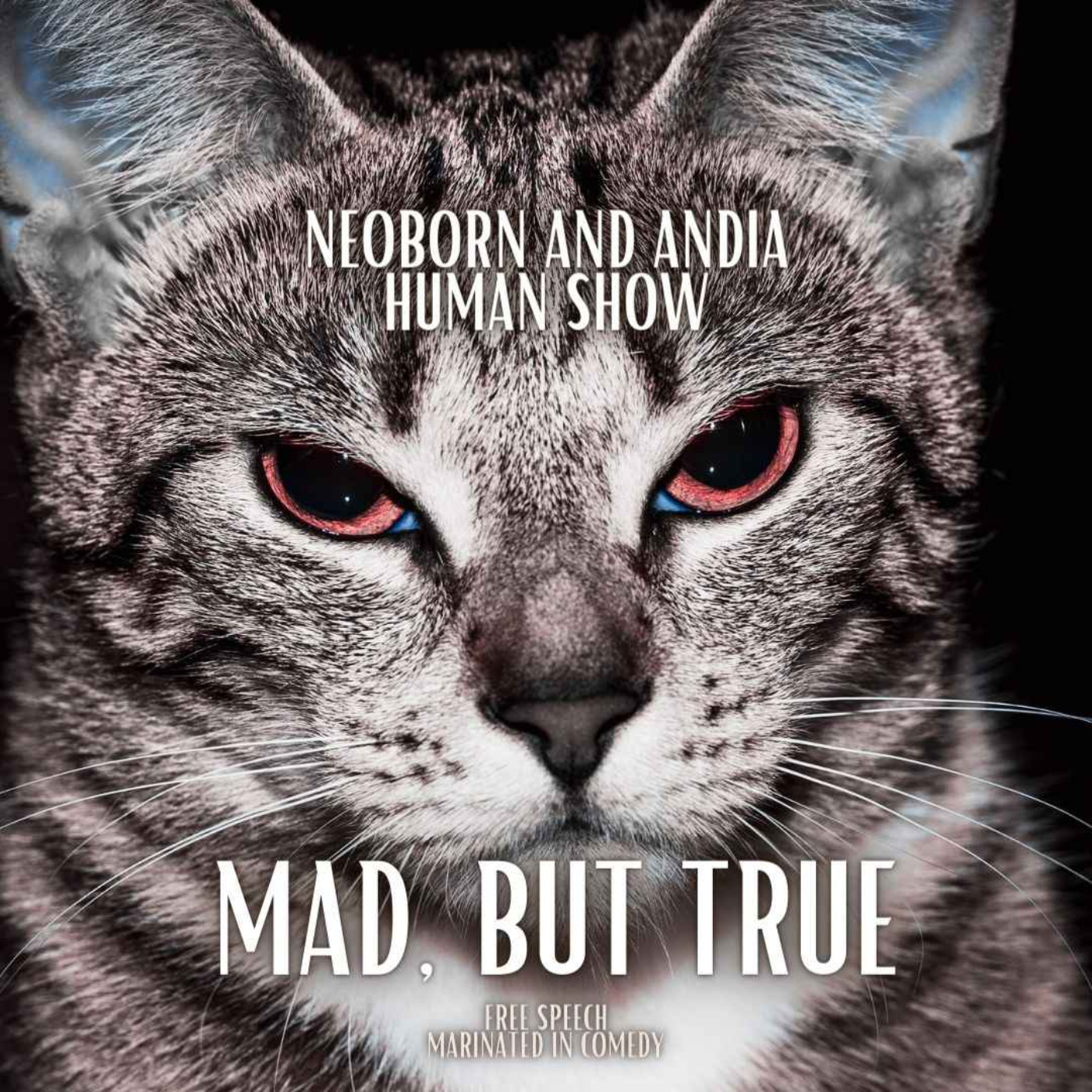 cover art for Mad, But True