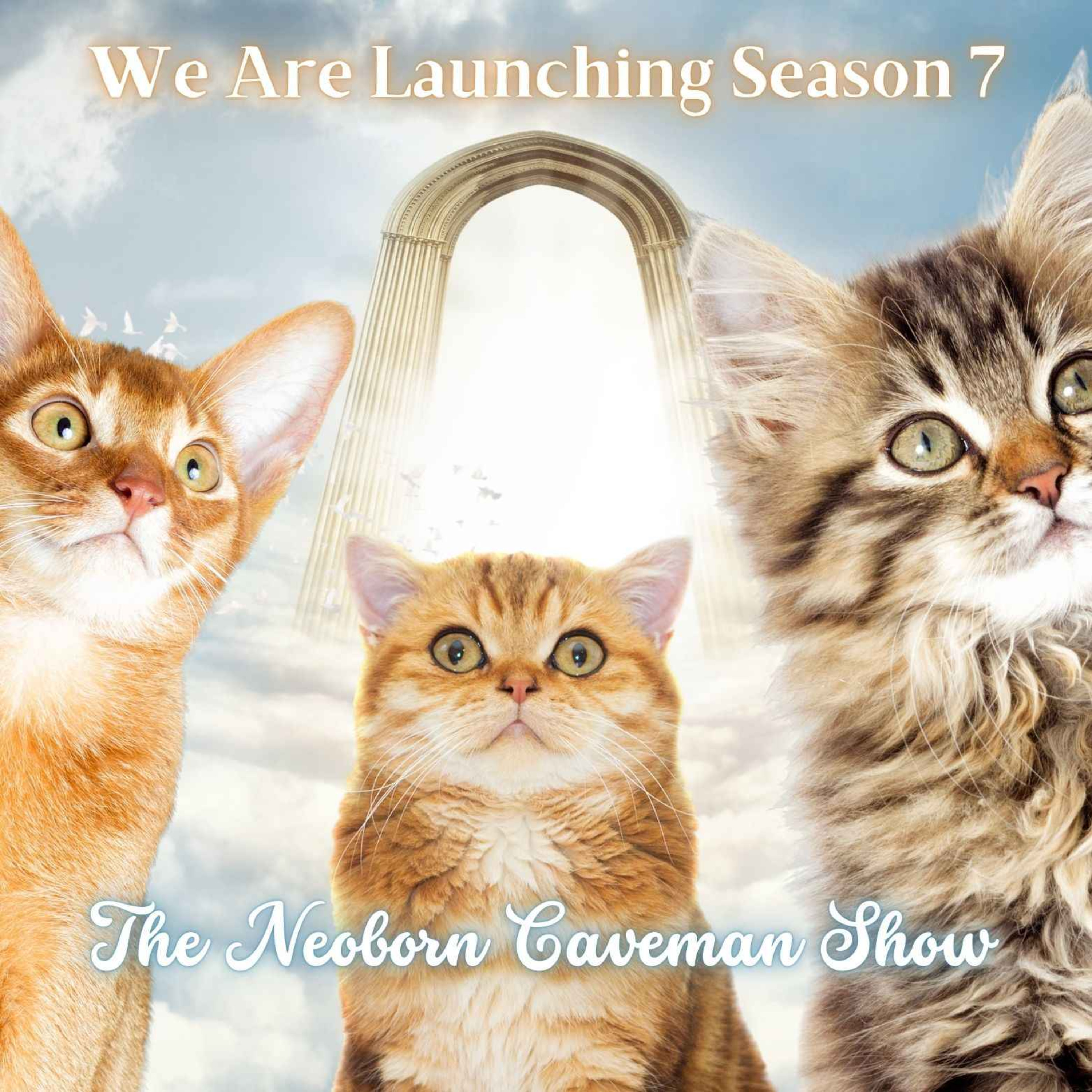 We Are Launching Season 7 episode artwork