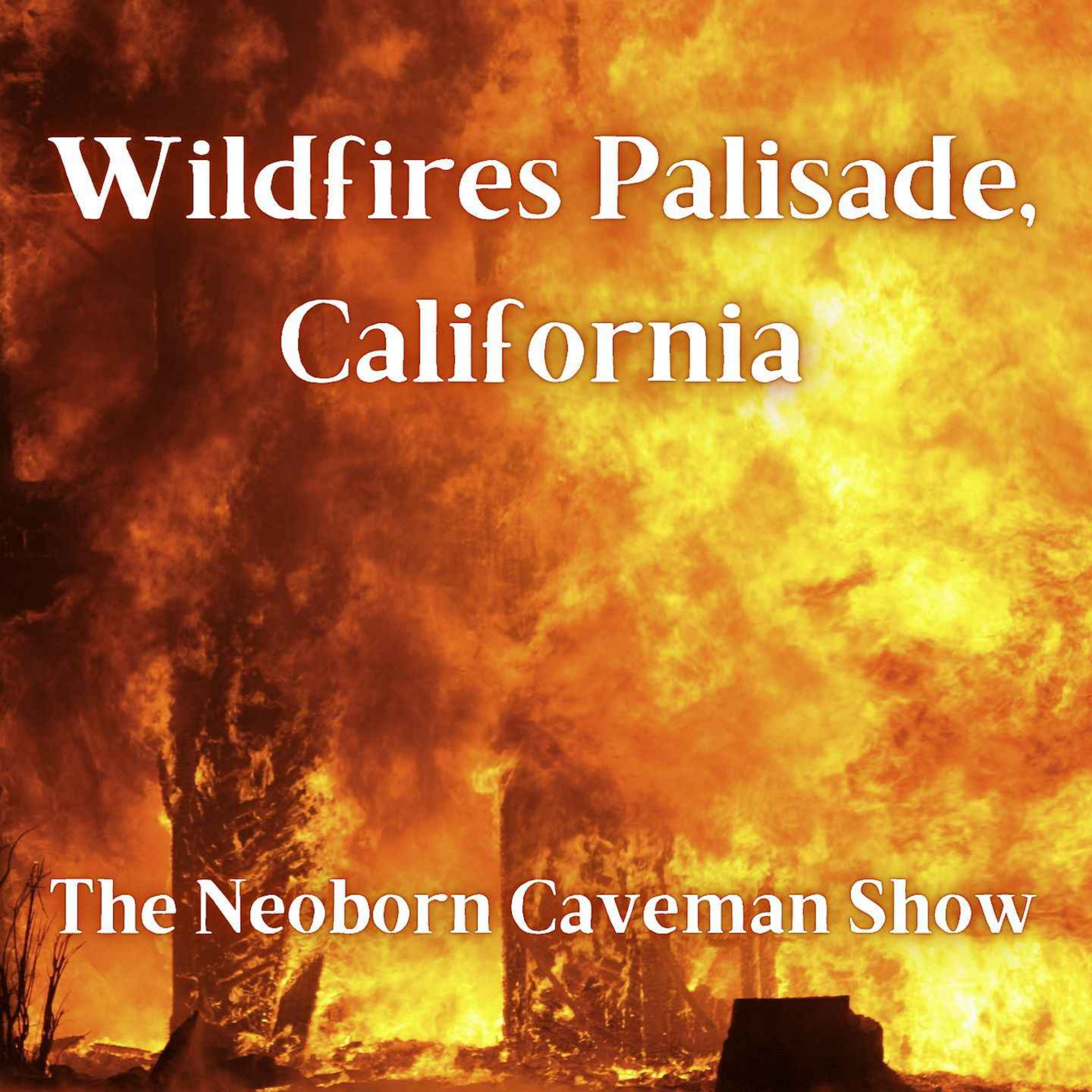 Wildfires Palisade, California episode artwork