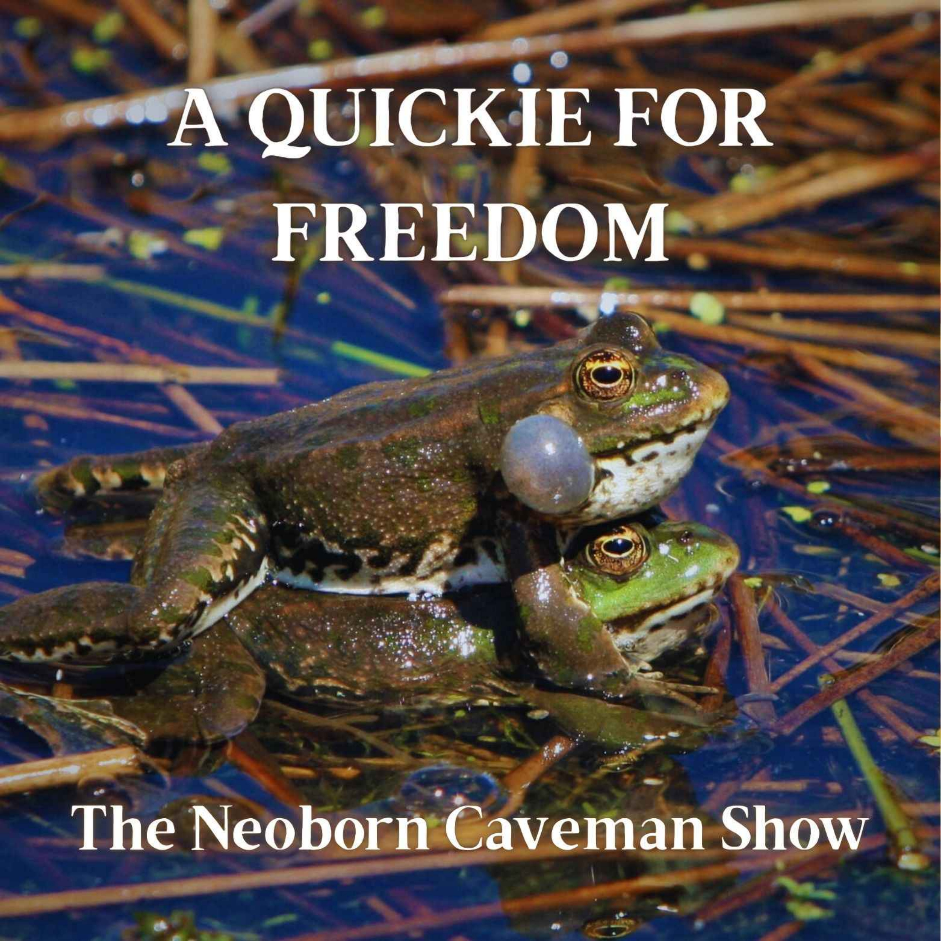 undefined - A Quickie for Freedom