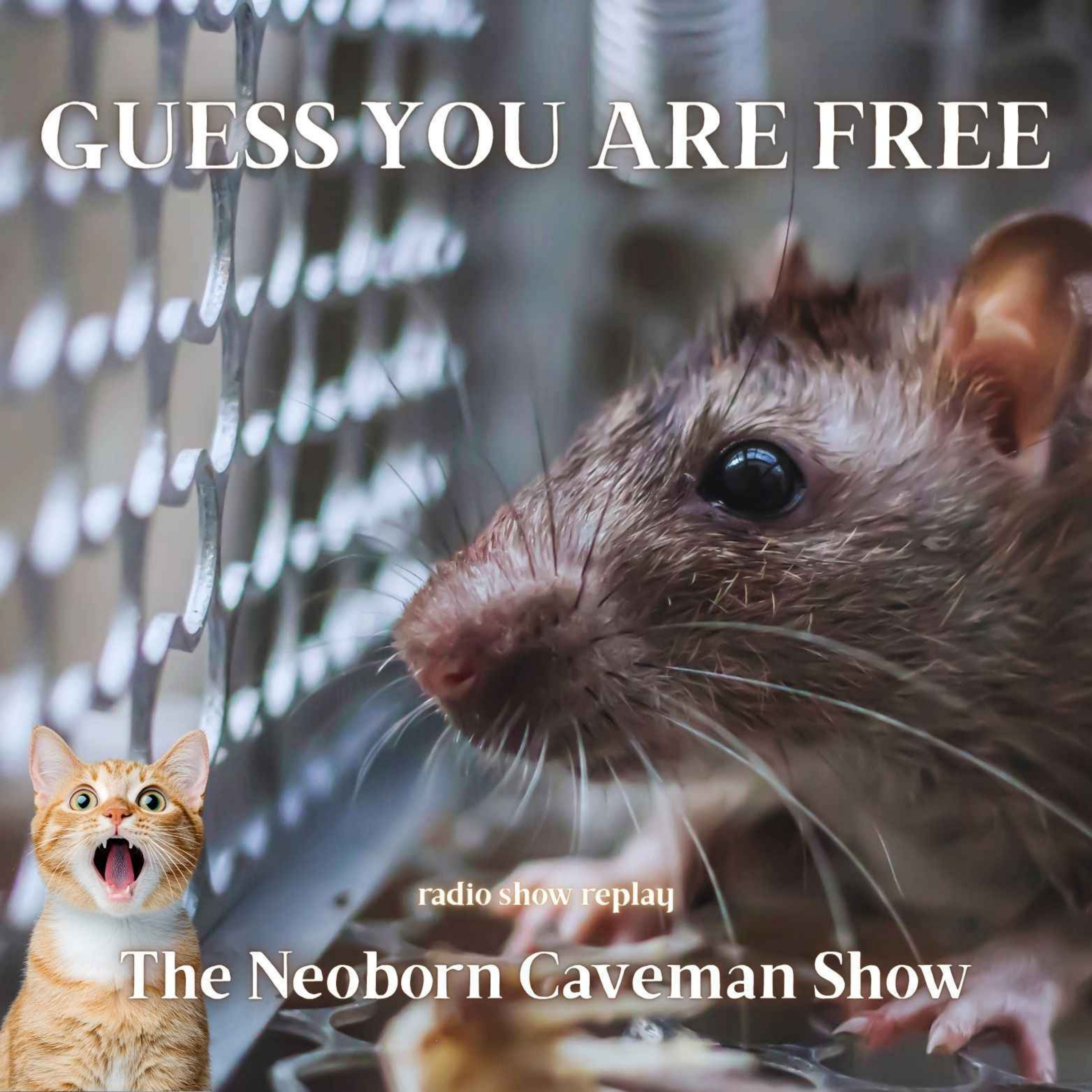 The Neoborn Caveman Show  |  humanity centered satirical takes on the world & news + music
