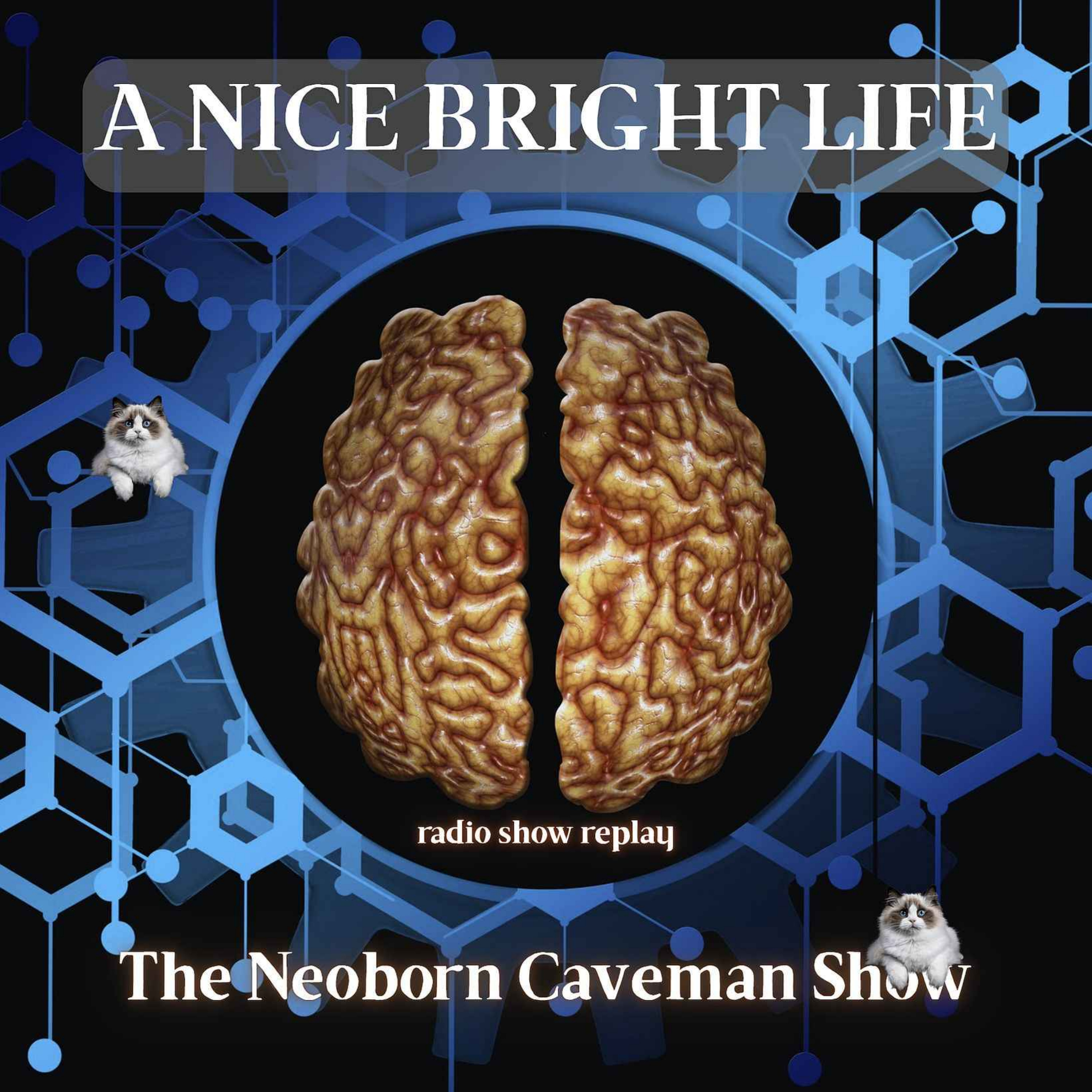 The Neoborn Caveman Show  |  humanity centered satirical takes on the world & news + music