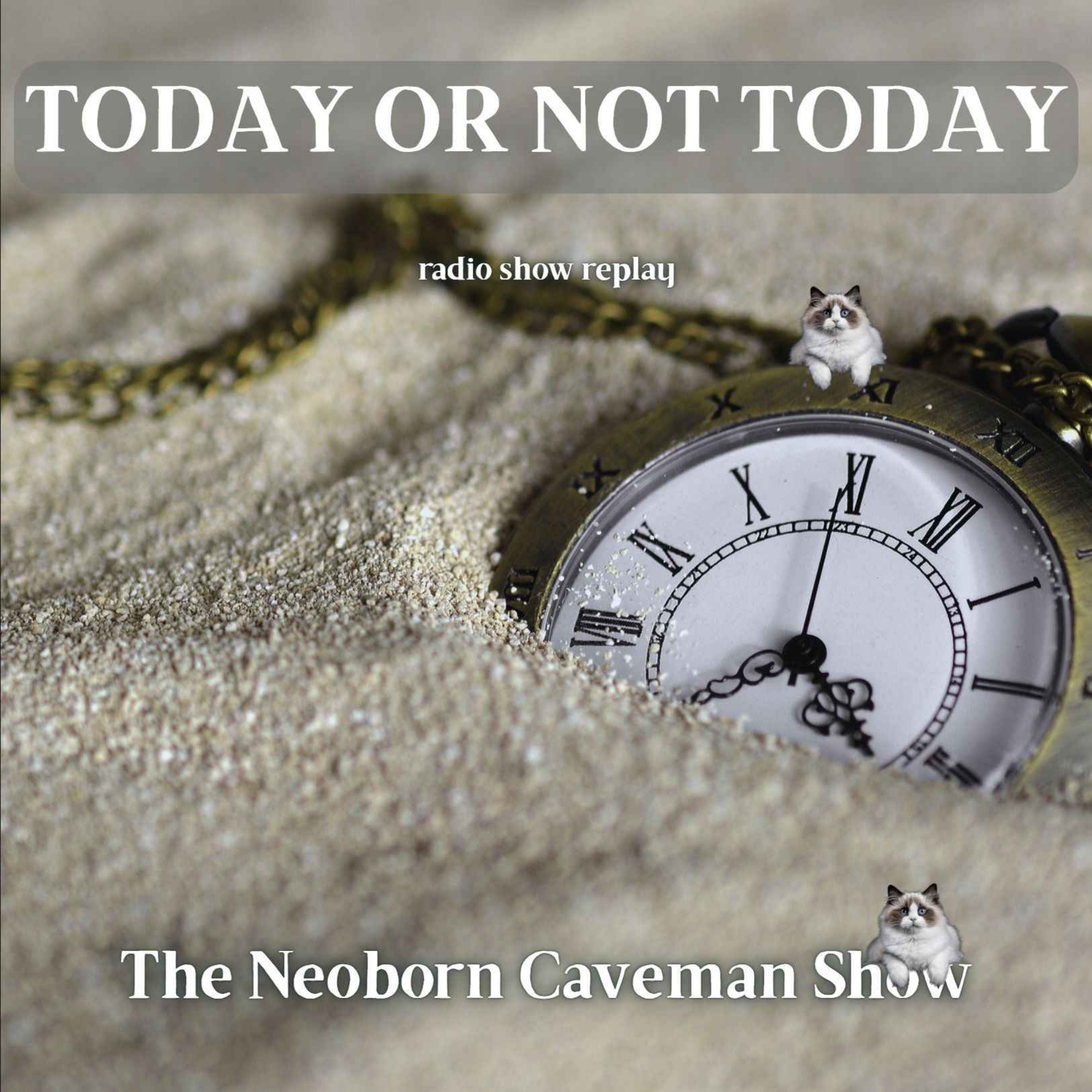 The Neoborn Caveman Show  |  humanity centered satirical takes on the world & news + music