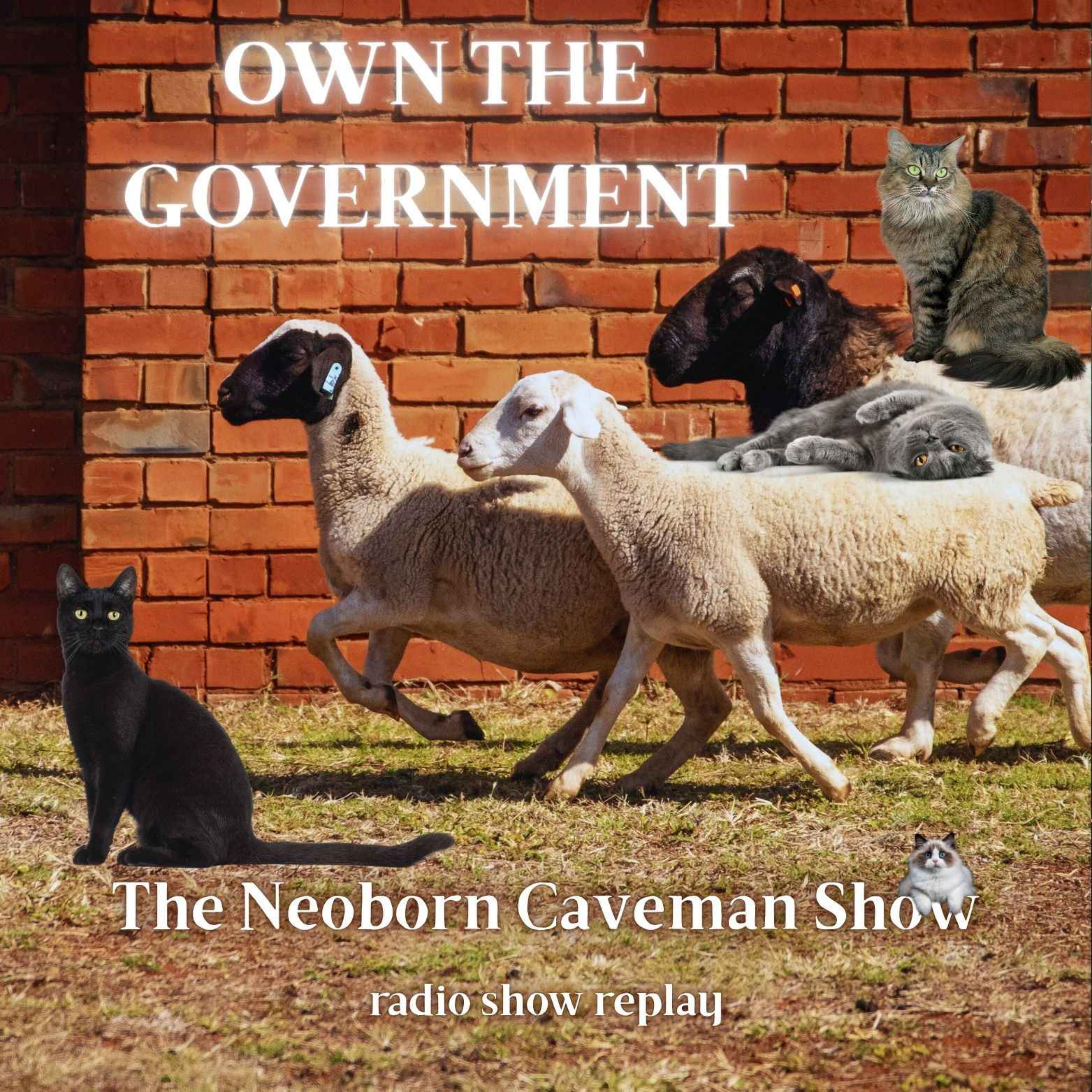 The Neoborn Caveman Show  |  humanity centered satirical takes on the world & news + music