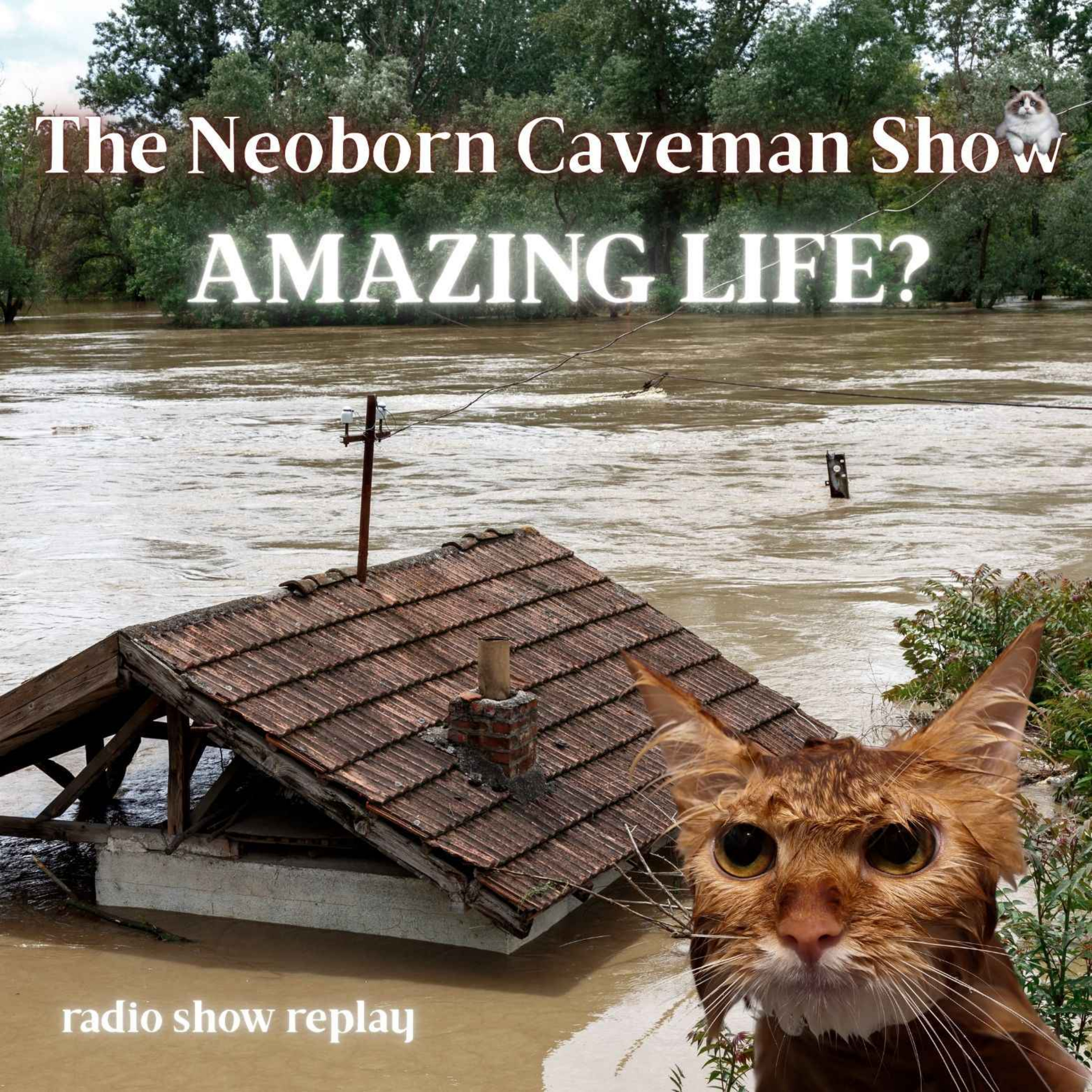 The Neoborn Caveman Show  |  humanity centered satirical takes on the world & news + music