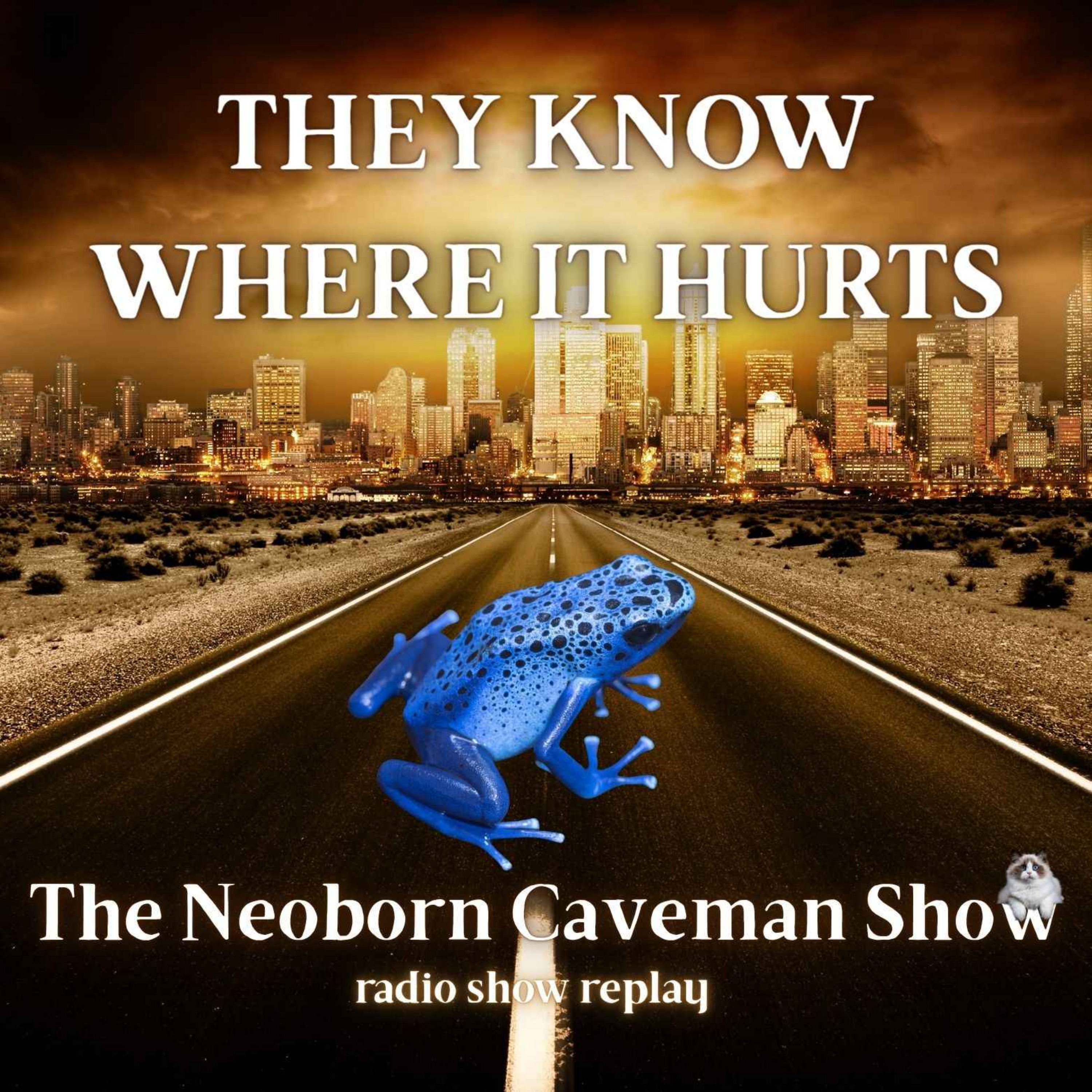 They Know Where It Hurts (radio show replay) episode artwork