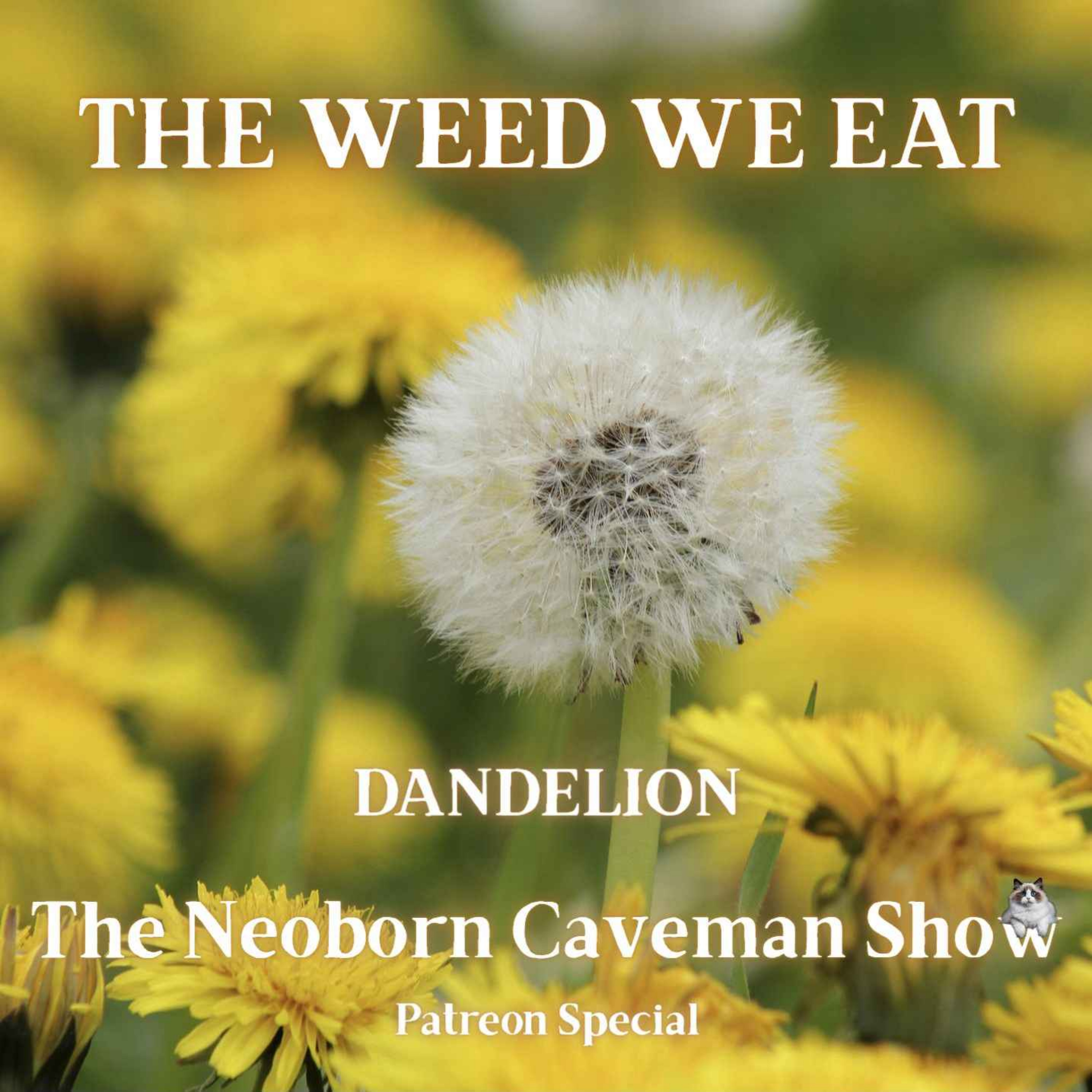 The Weed We Eat (Dandelion) - Patreon Special episode artwork
