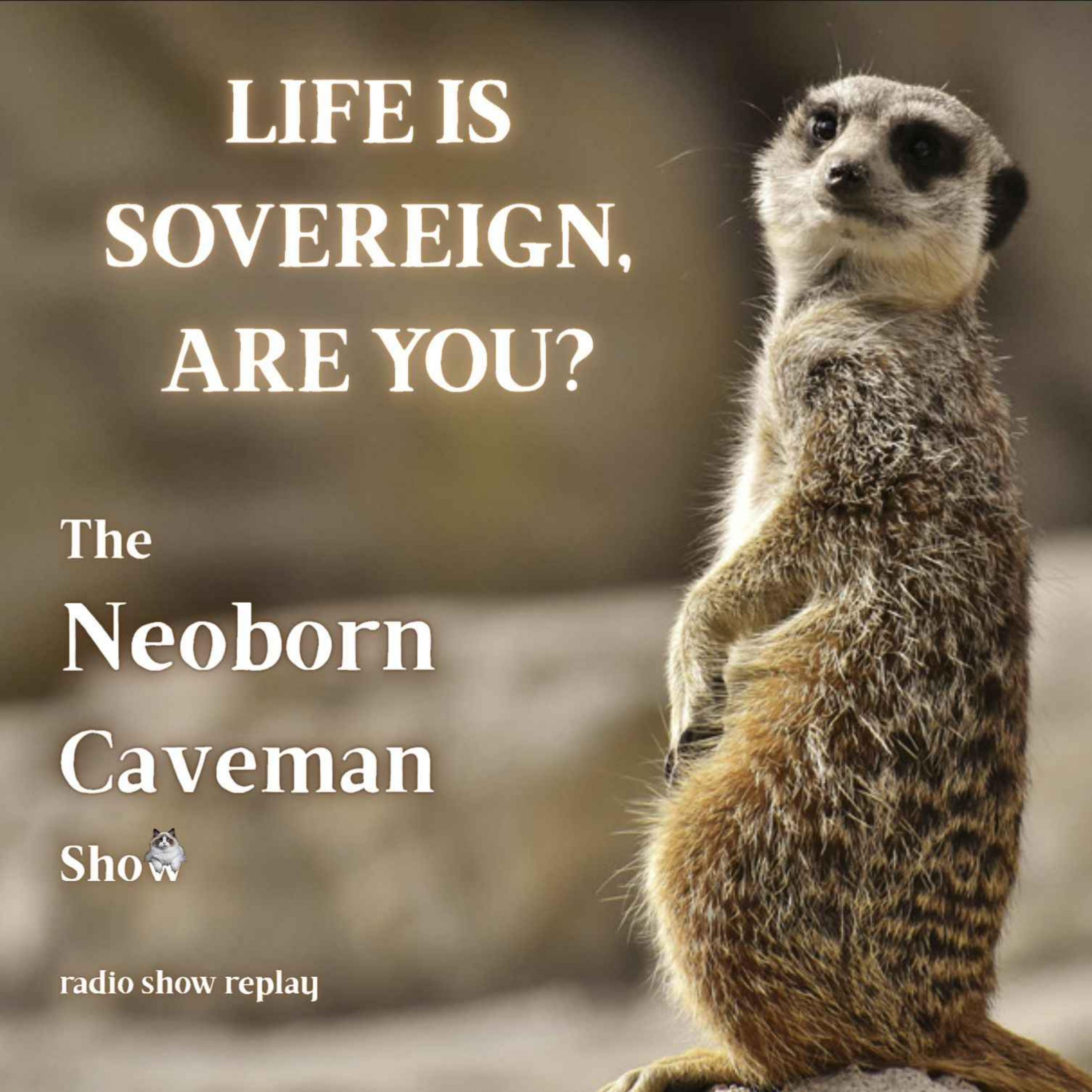 Life Is Sovereign, Are You? (radio show replay) episode artwork