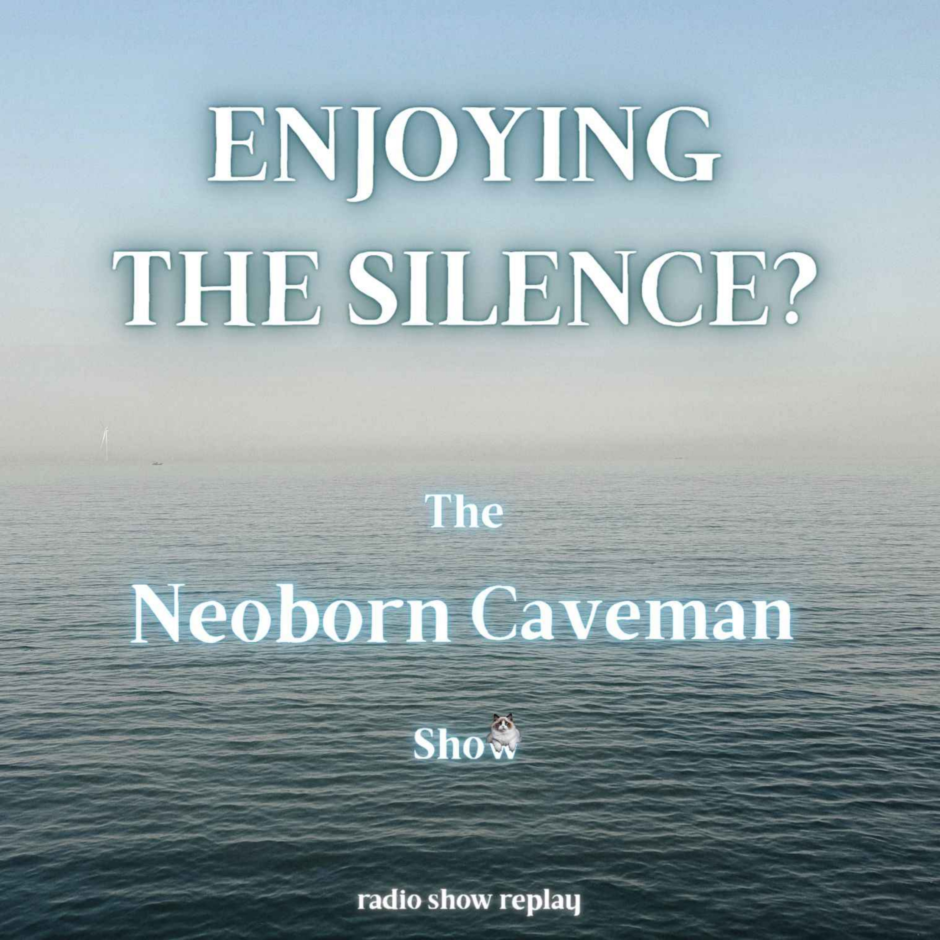 Enjoying the Silence? (radio show replay) episode artwork