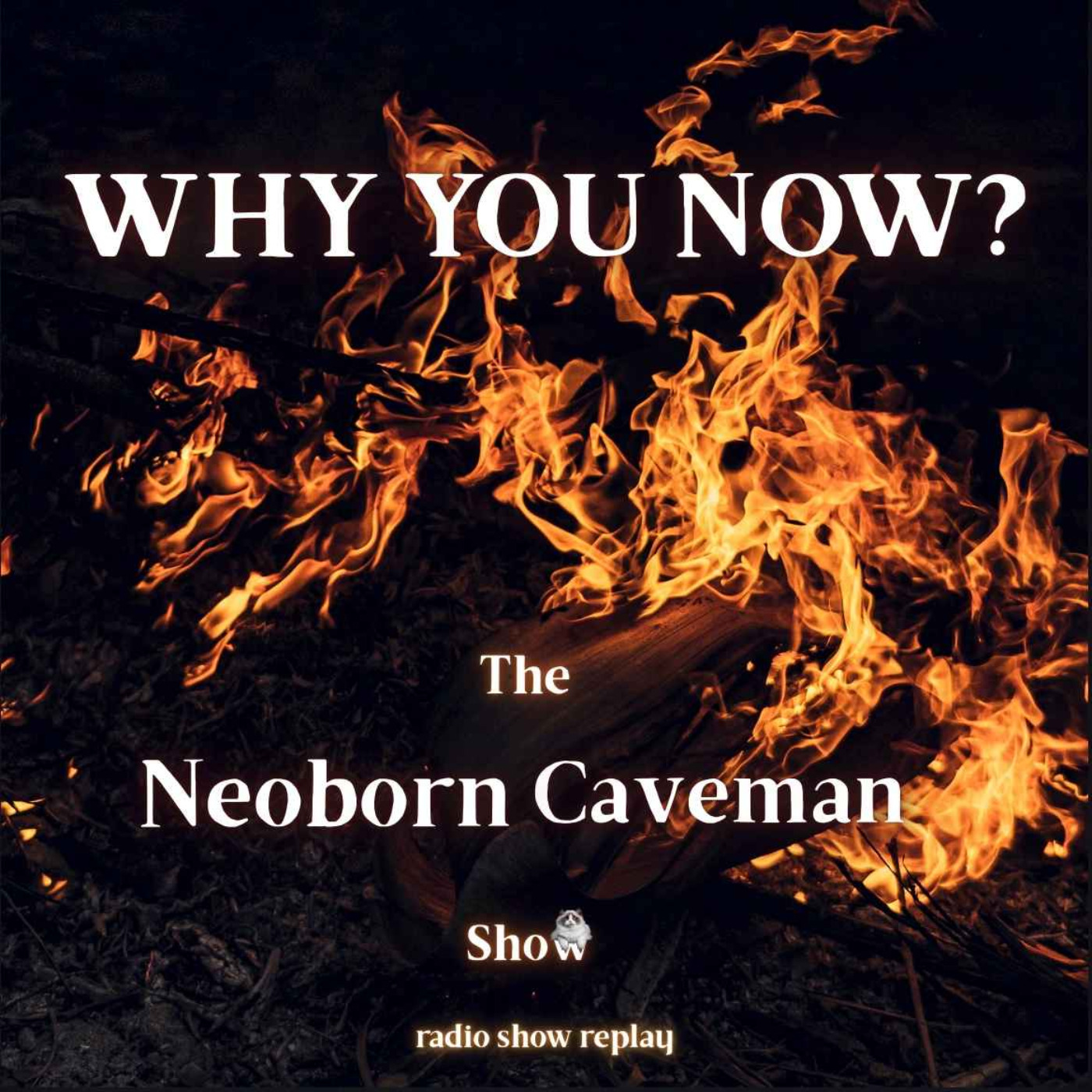 Why You Now? (radio show replay) episode artwork