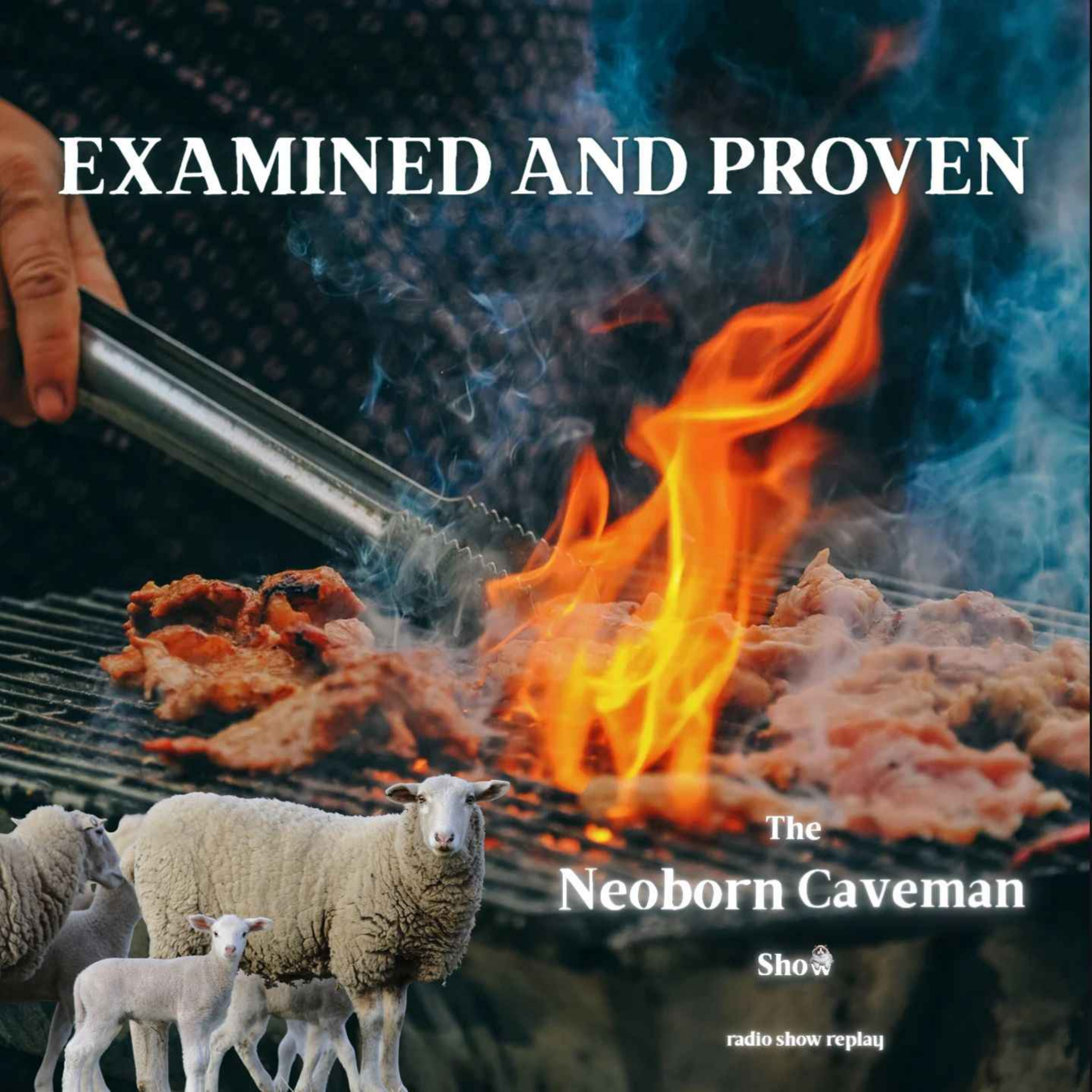 Examined and Proven (radio show replay)
