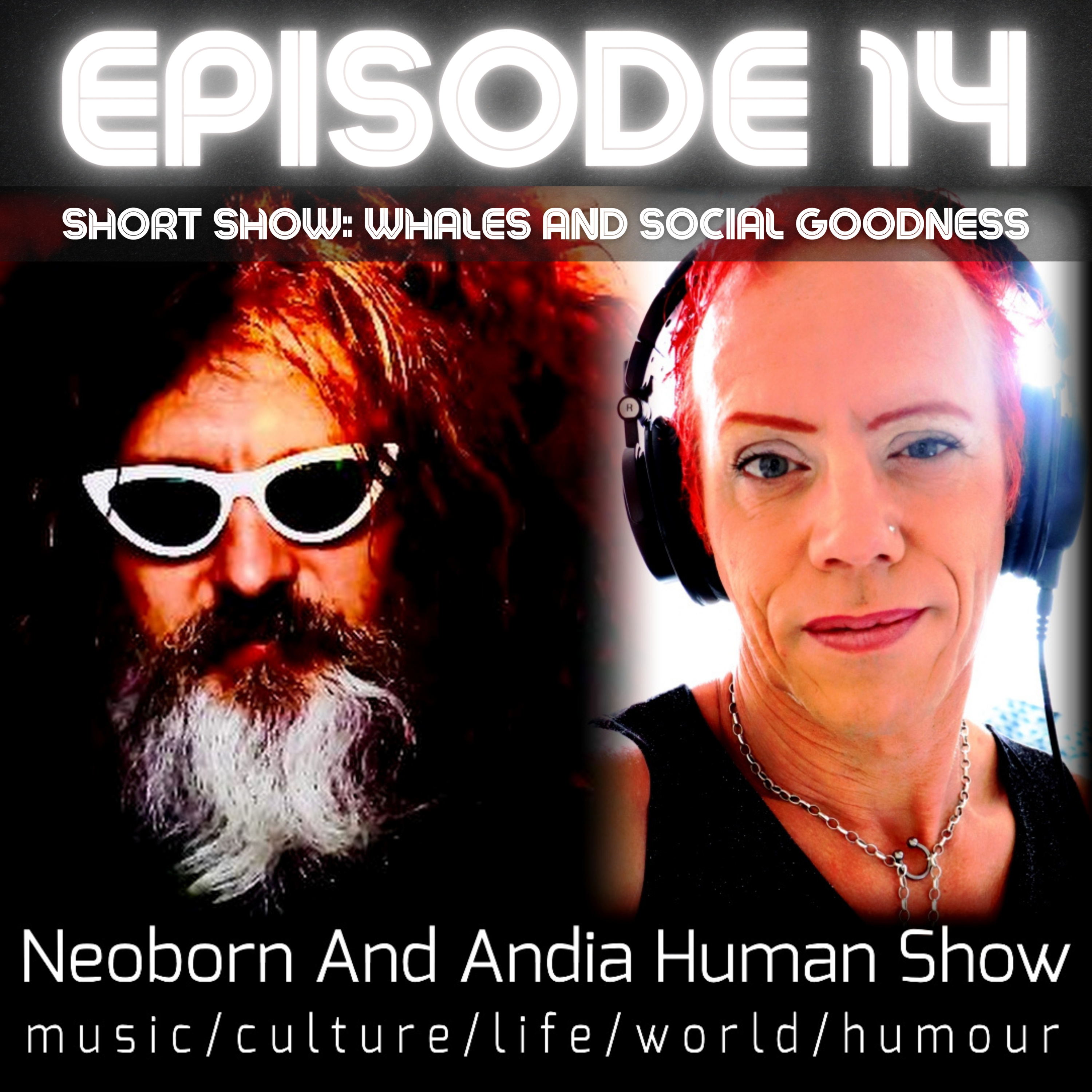 Whales and Social Goodness episode artwork