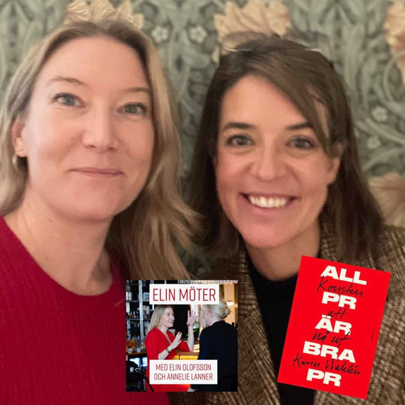 Elin möter PR-specialisten Karin Wahlén episode artwork