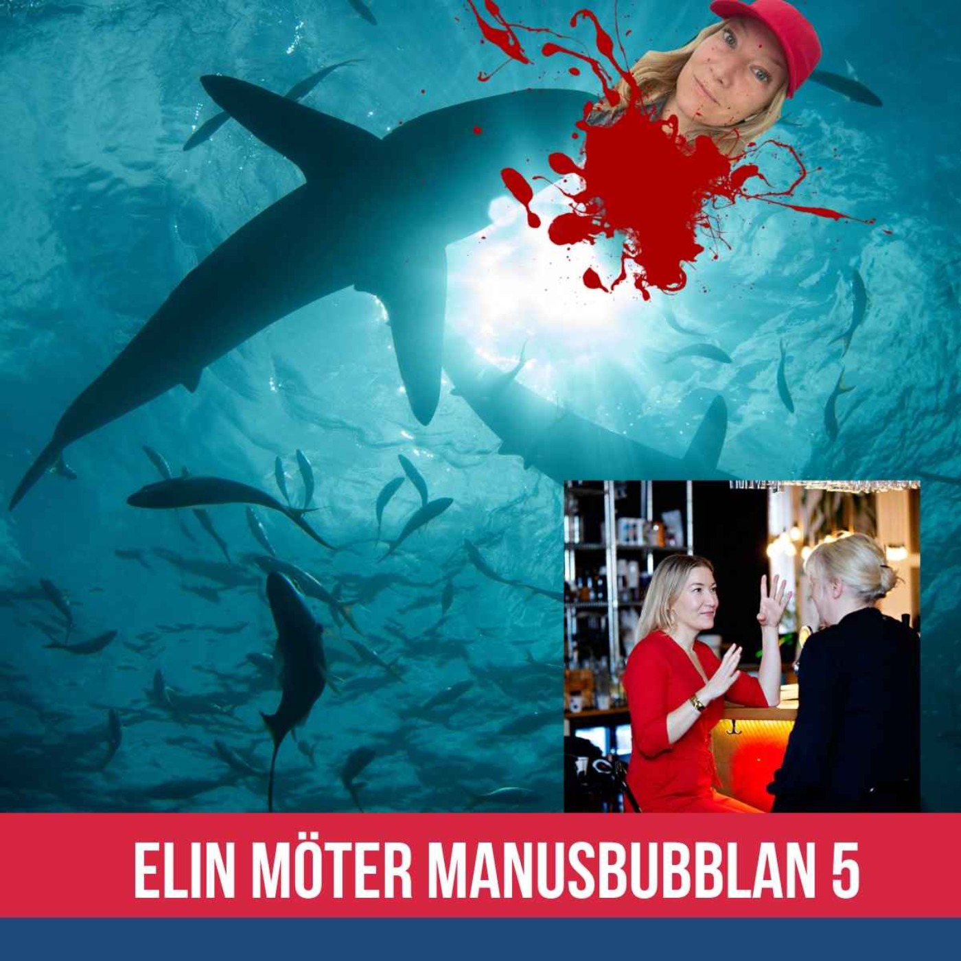 Elin möter