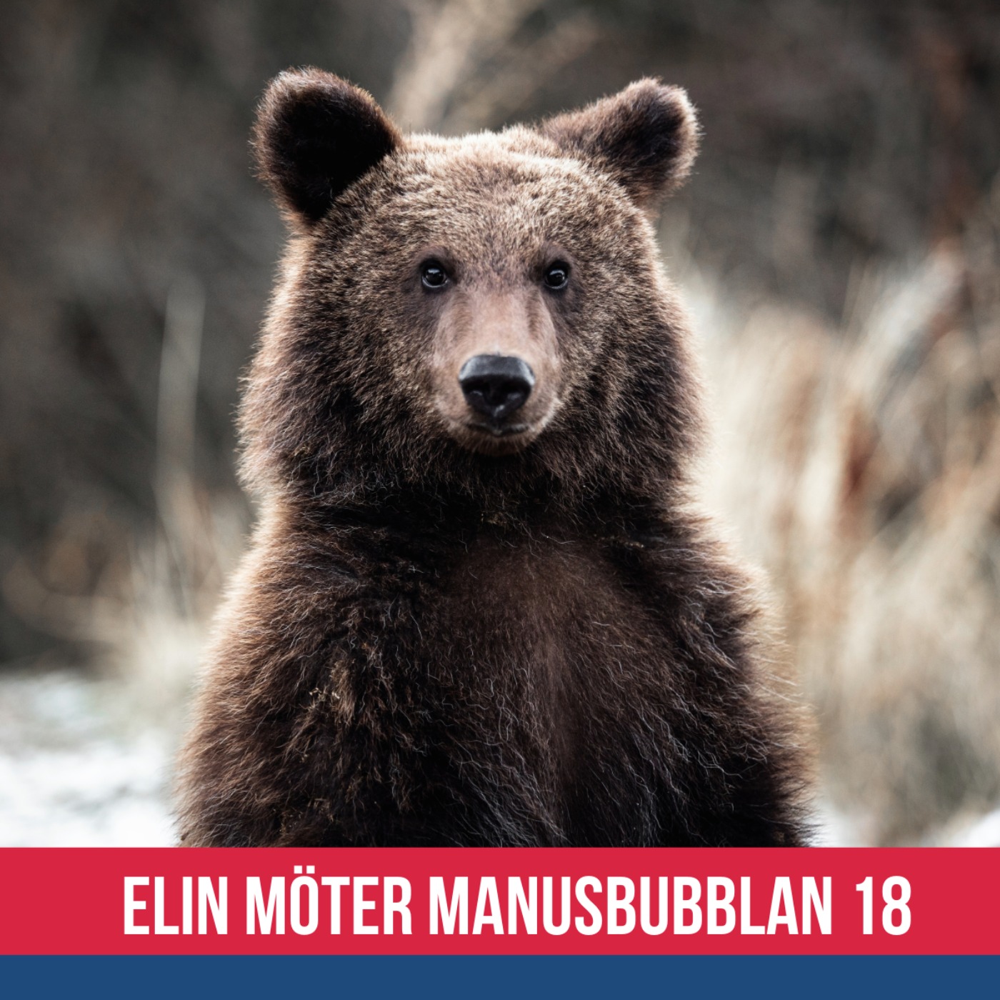 Elin möter Manusbubblan 18 episode artwork