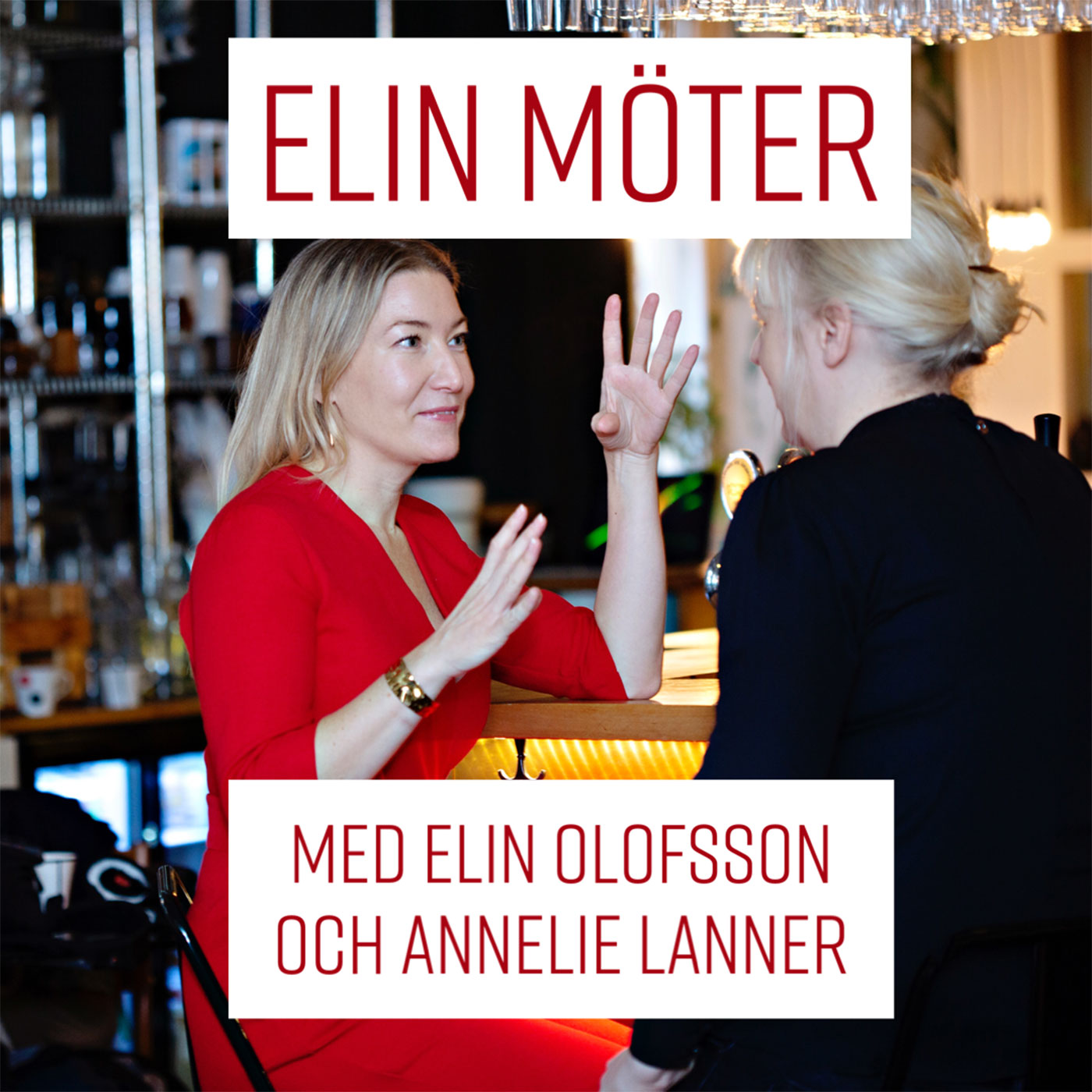 cover art for Elin möter drama vs dokumentär