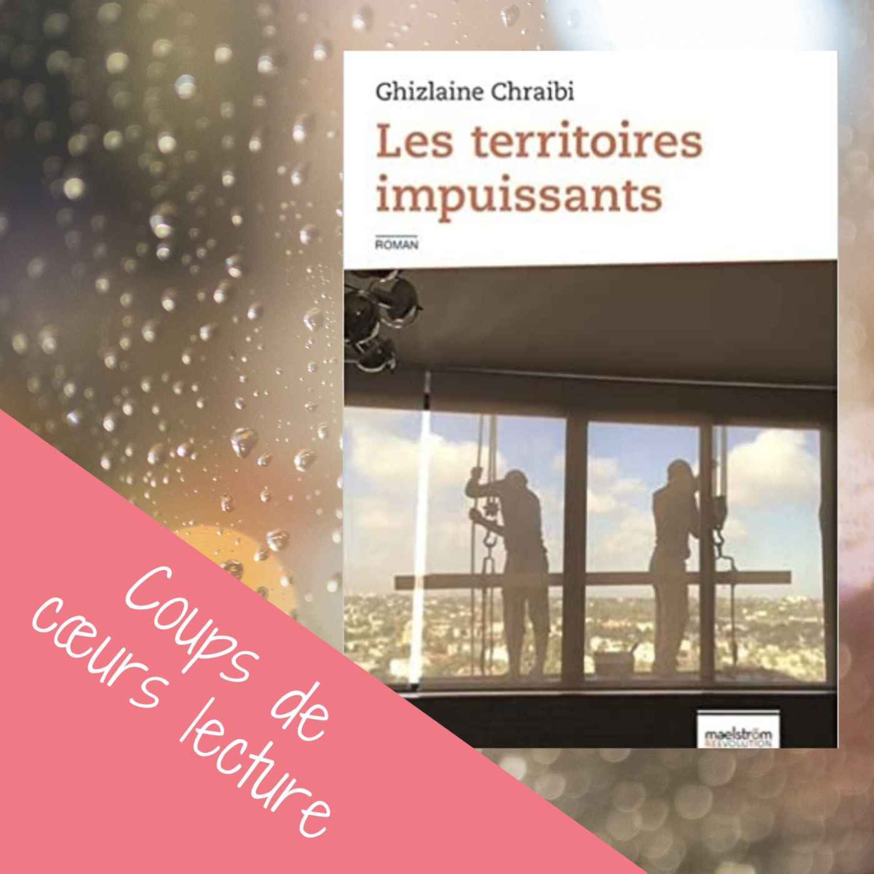 Mes coups de cœurs littéraires