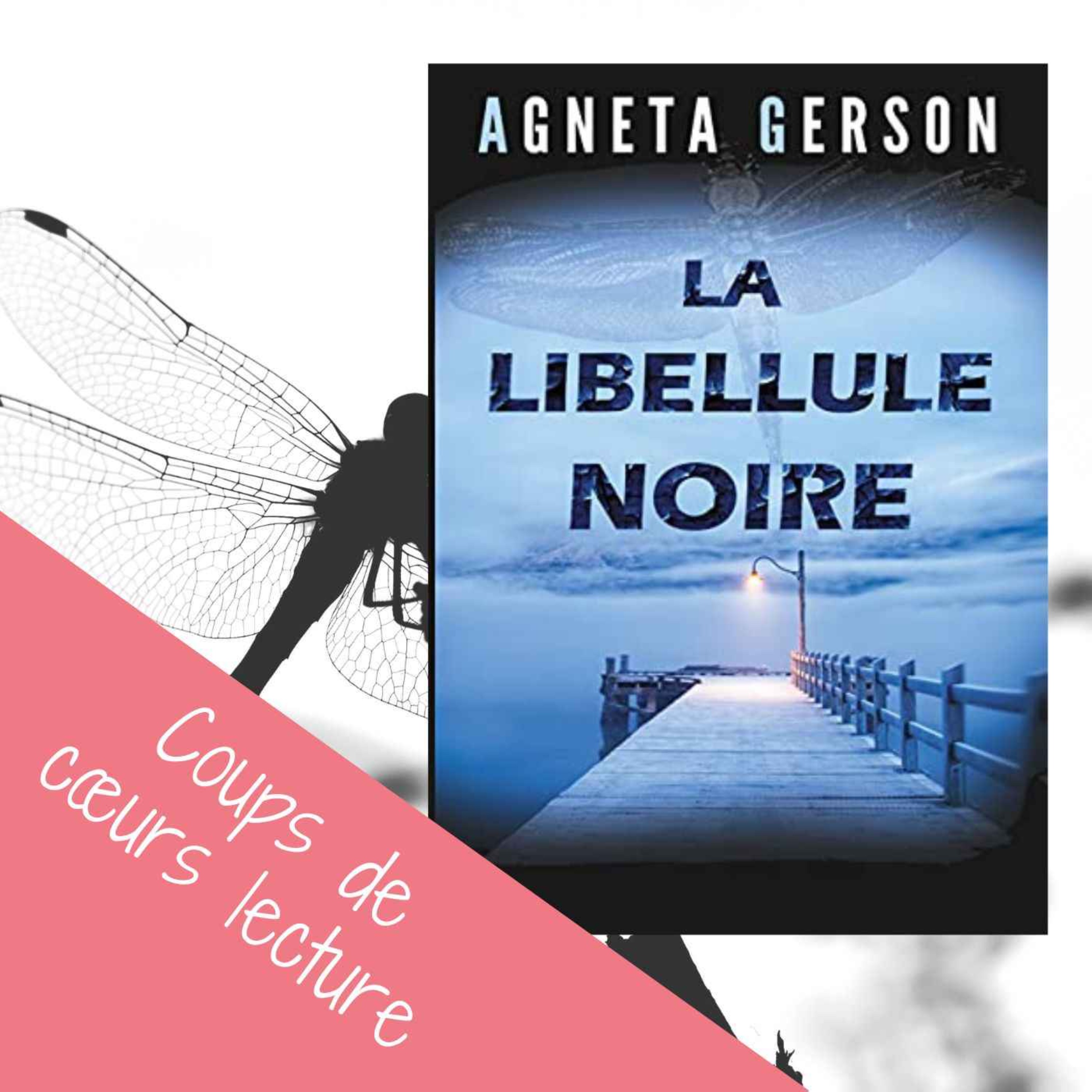 Mes coups de cœurs littéraires