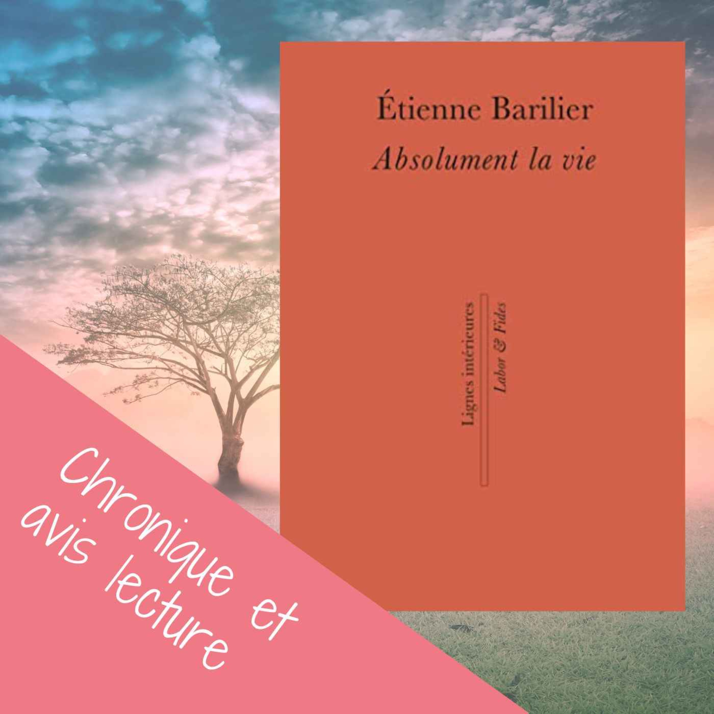 Mes coups de cœurs littéraires